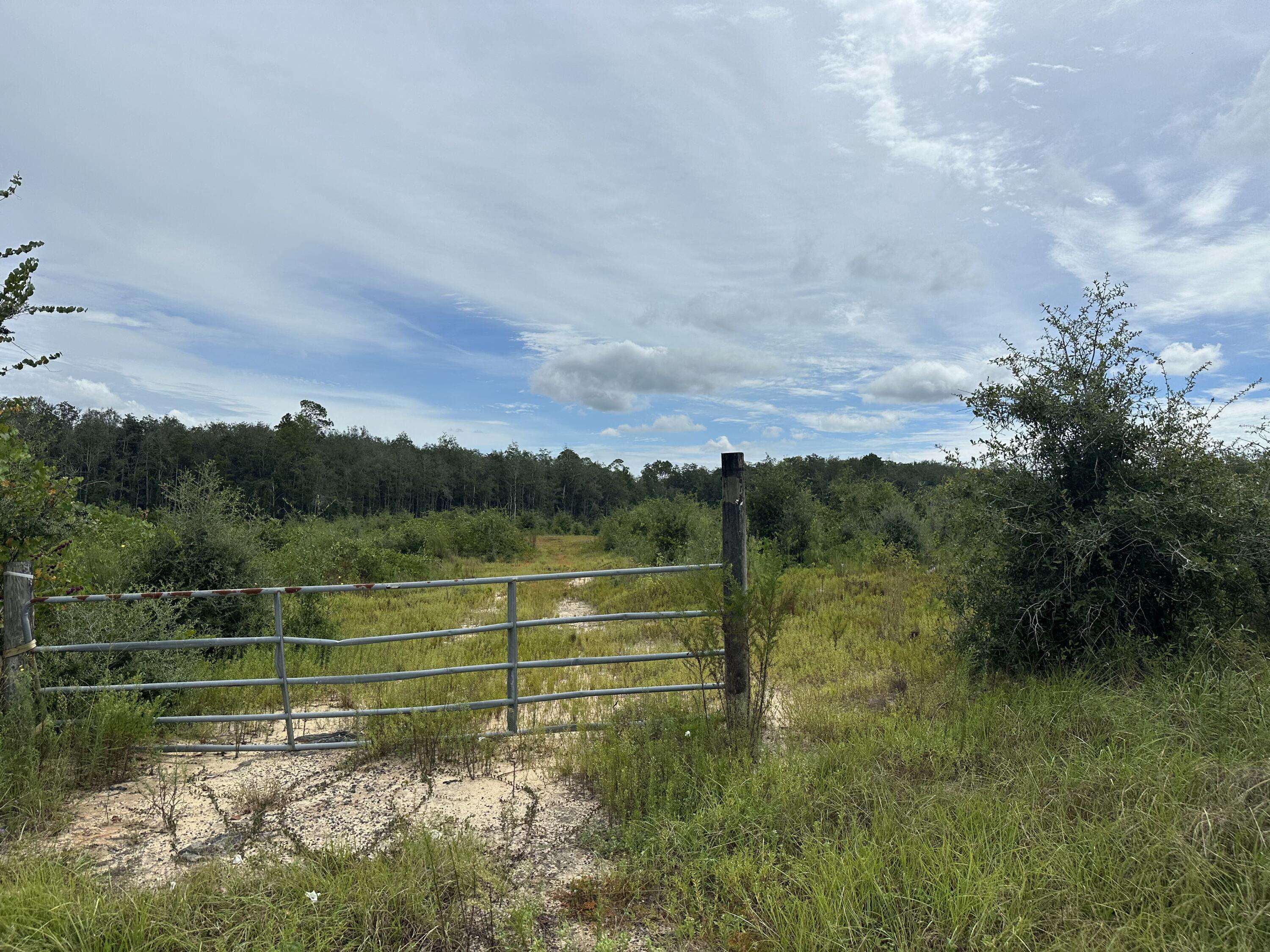 Bonifay, FL 32425,Tract#6415 Hwy 79