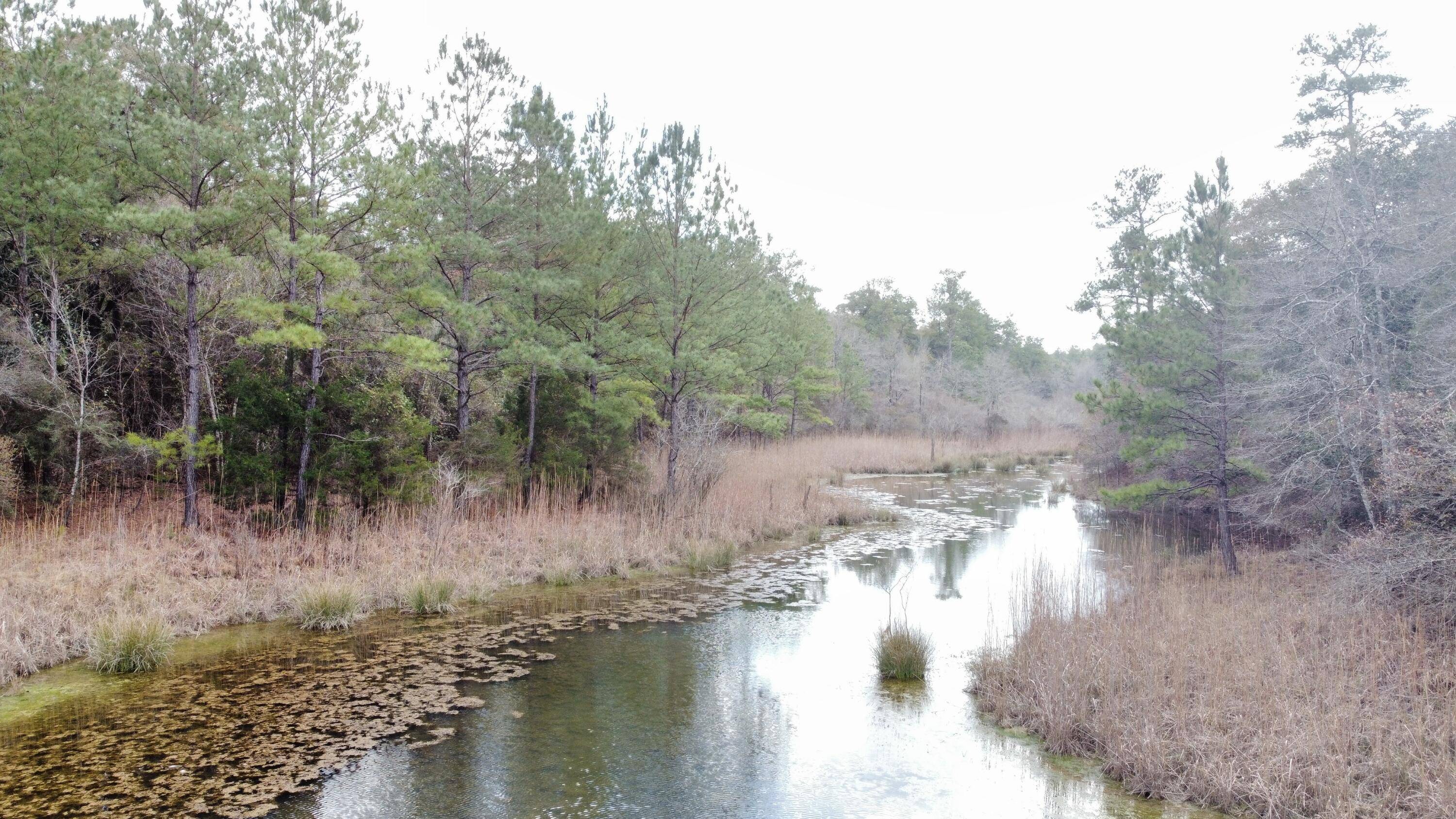 Laurel Hill, FL 32567,79 Acres Bucking Up Road