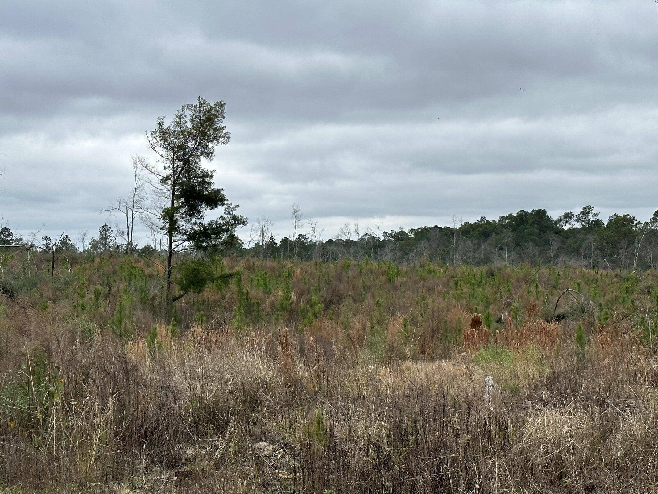 Bonifay, FL 32425,Tract#6337 Decon Road  #Middle 22.34 Acres +/-