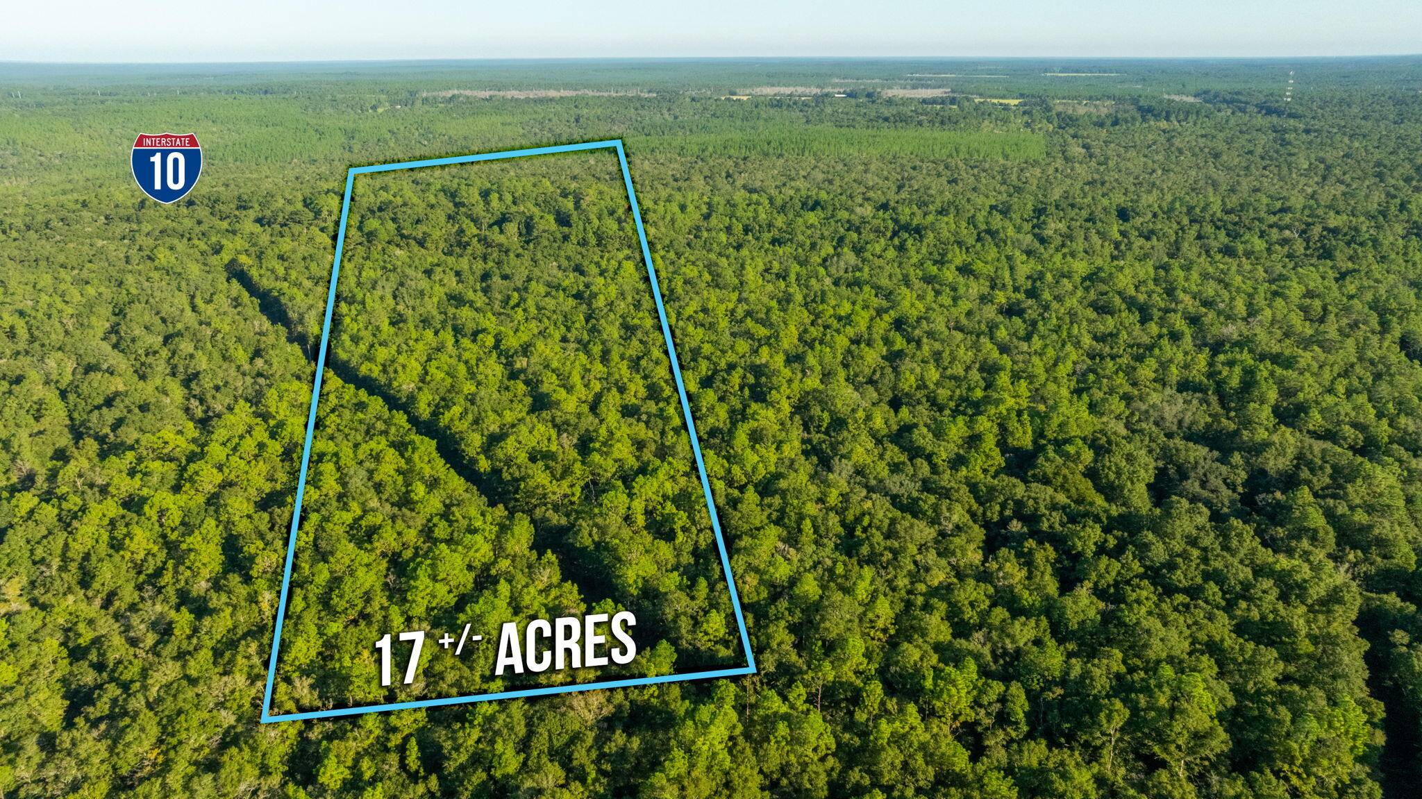 Holt, FL 32564,17 Acres Lyons Place