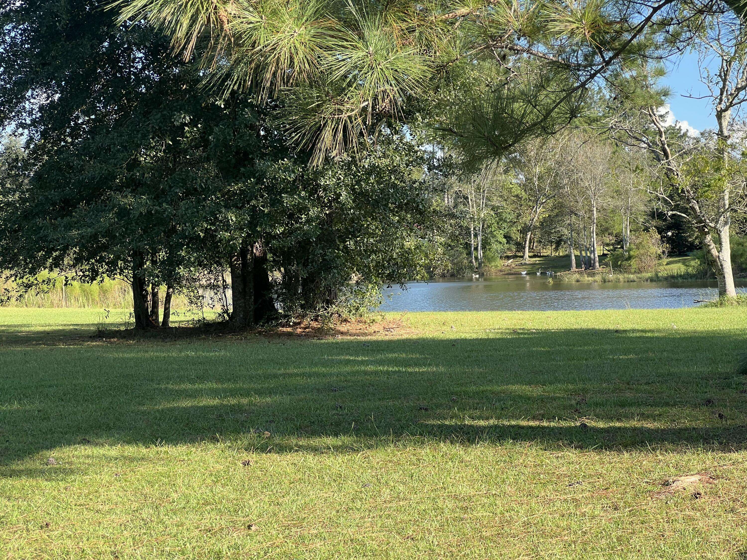 Marianna, FL 32448,2294 Mallard Drive