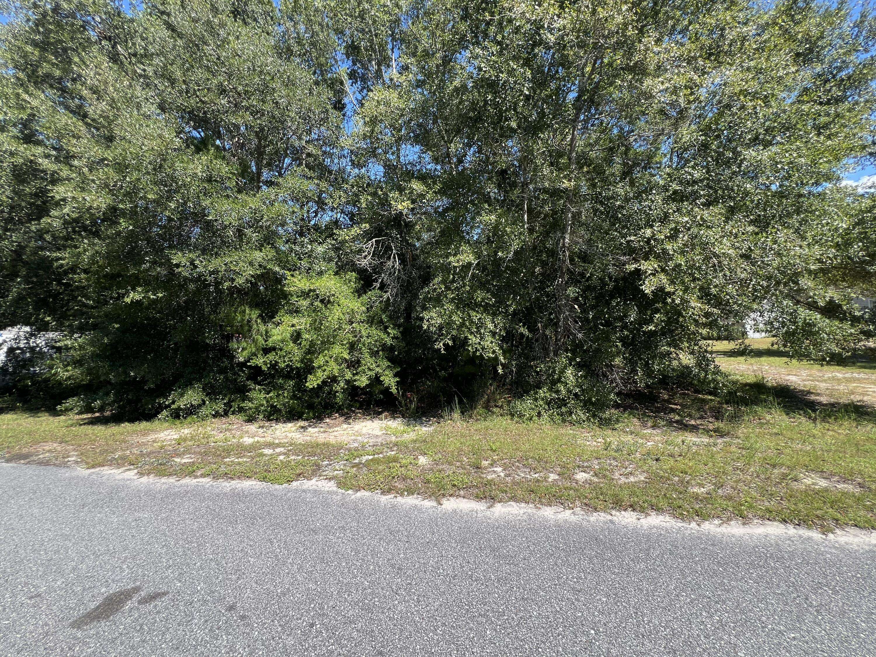 Freeport, FL 32439,356 Goodwin Creek Road