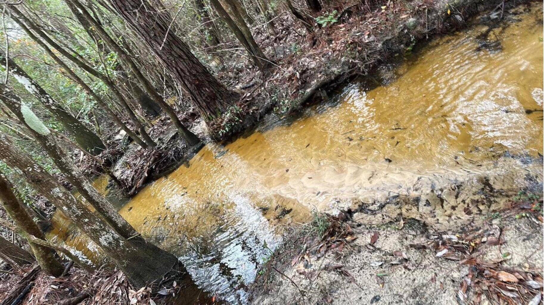 Crestview, FL 32539,33 Acres Aplin Road