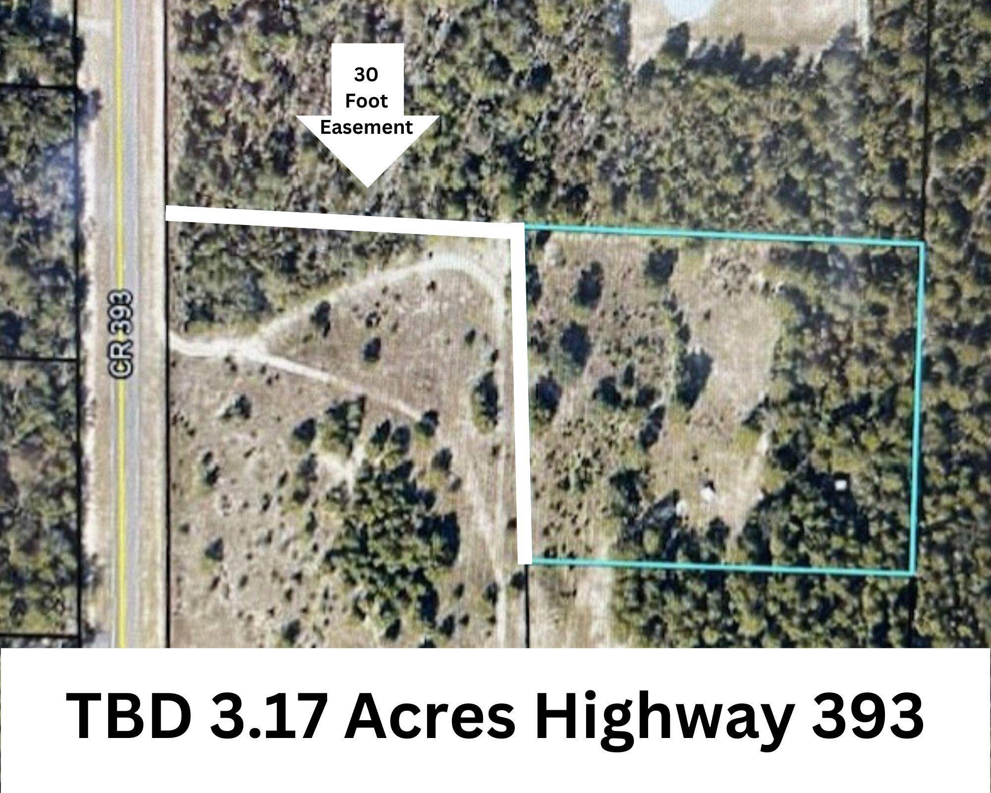 Crestview, FL 32539,TBD 3.17 AC highway 393 Highway