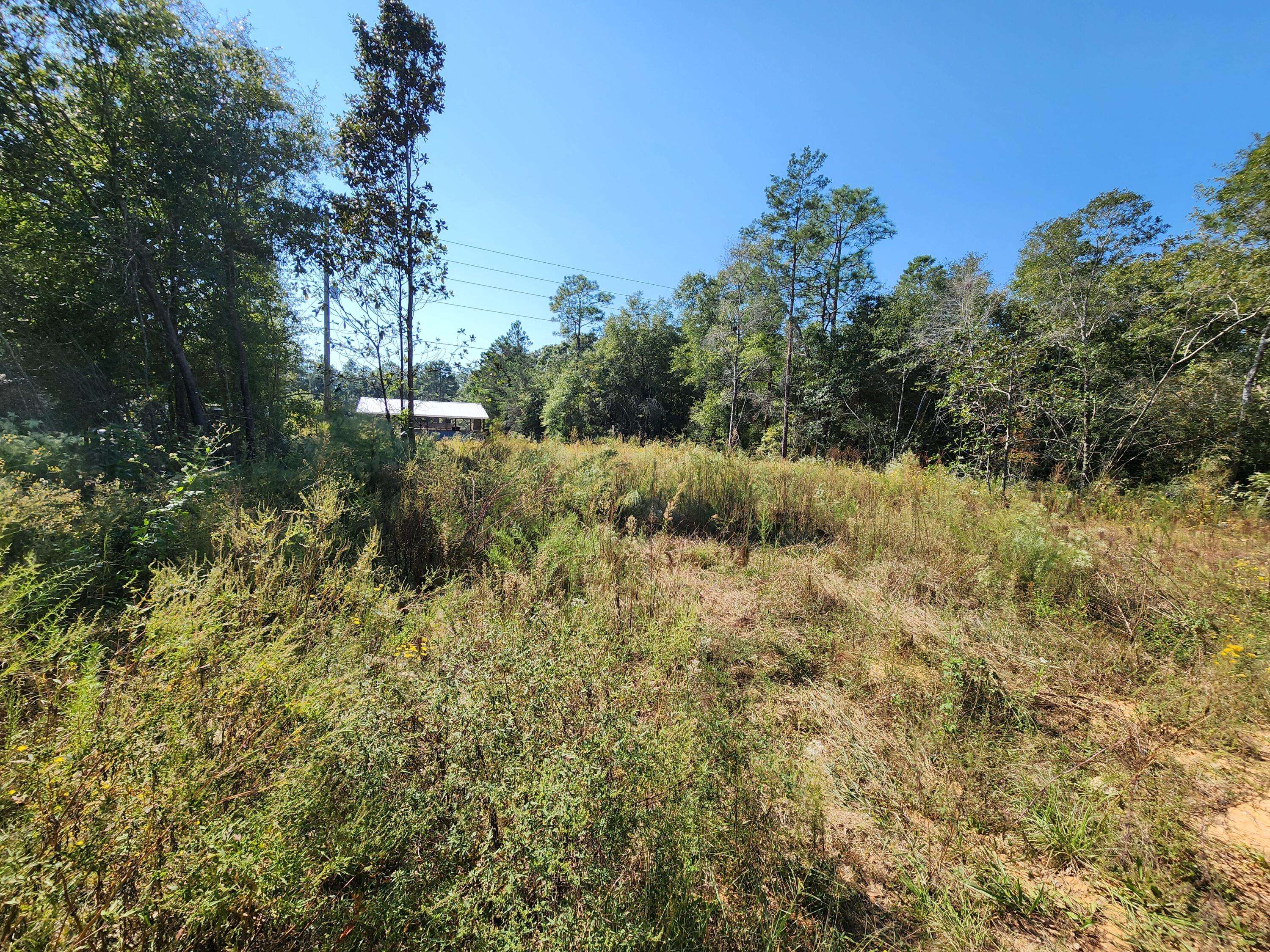 Defuniak Springs, FL 32433,Lot 25 W Royal Palm Avenue