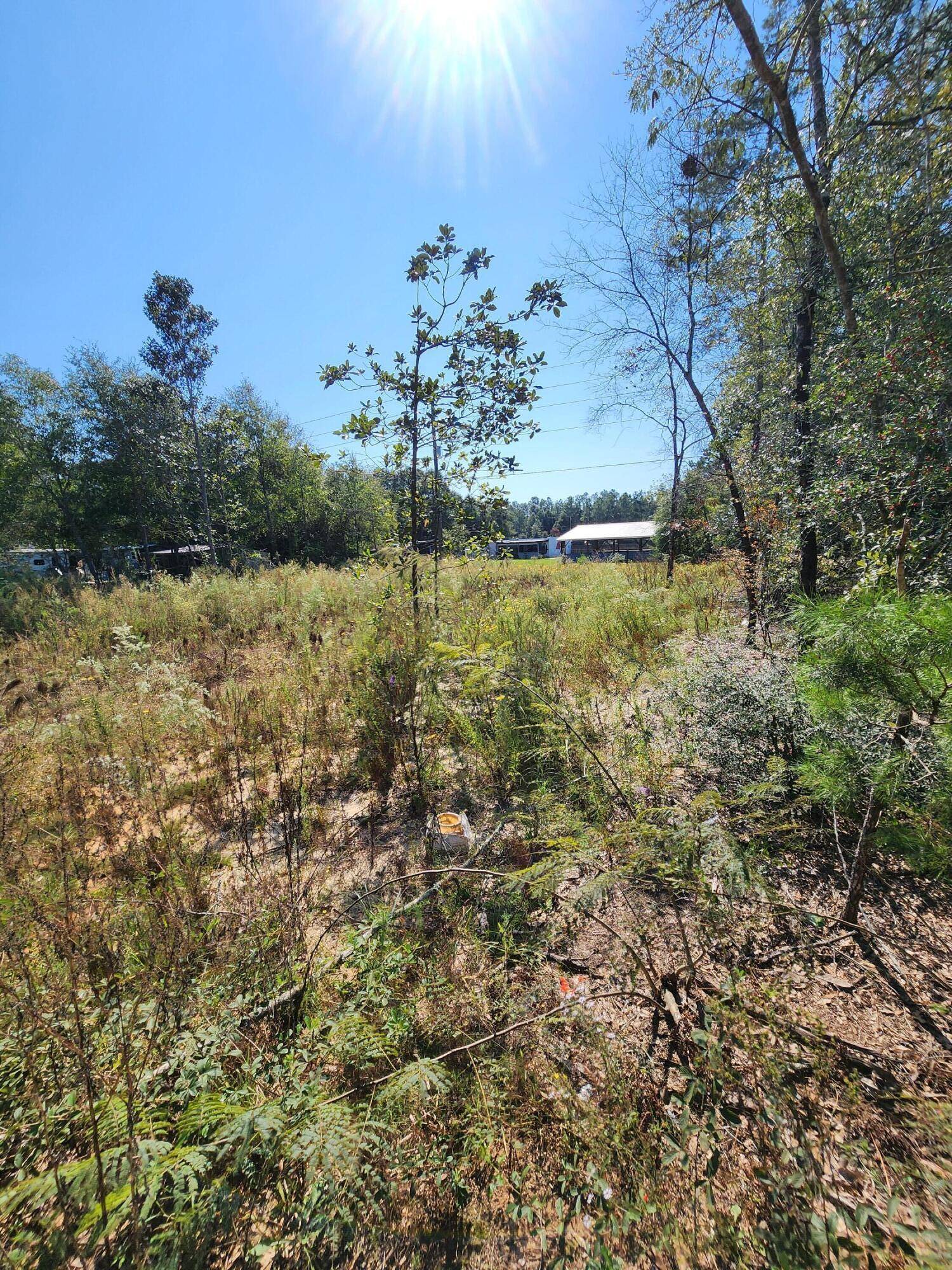 Defuniak Springs, FL 32433,Lot 25 W Royal Palm Avenue