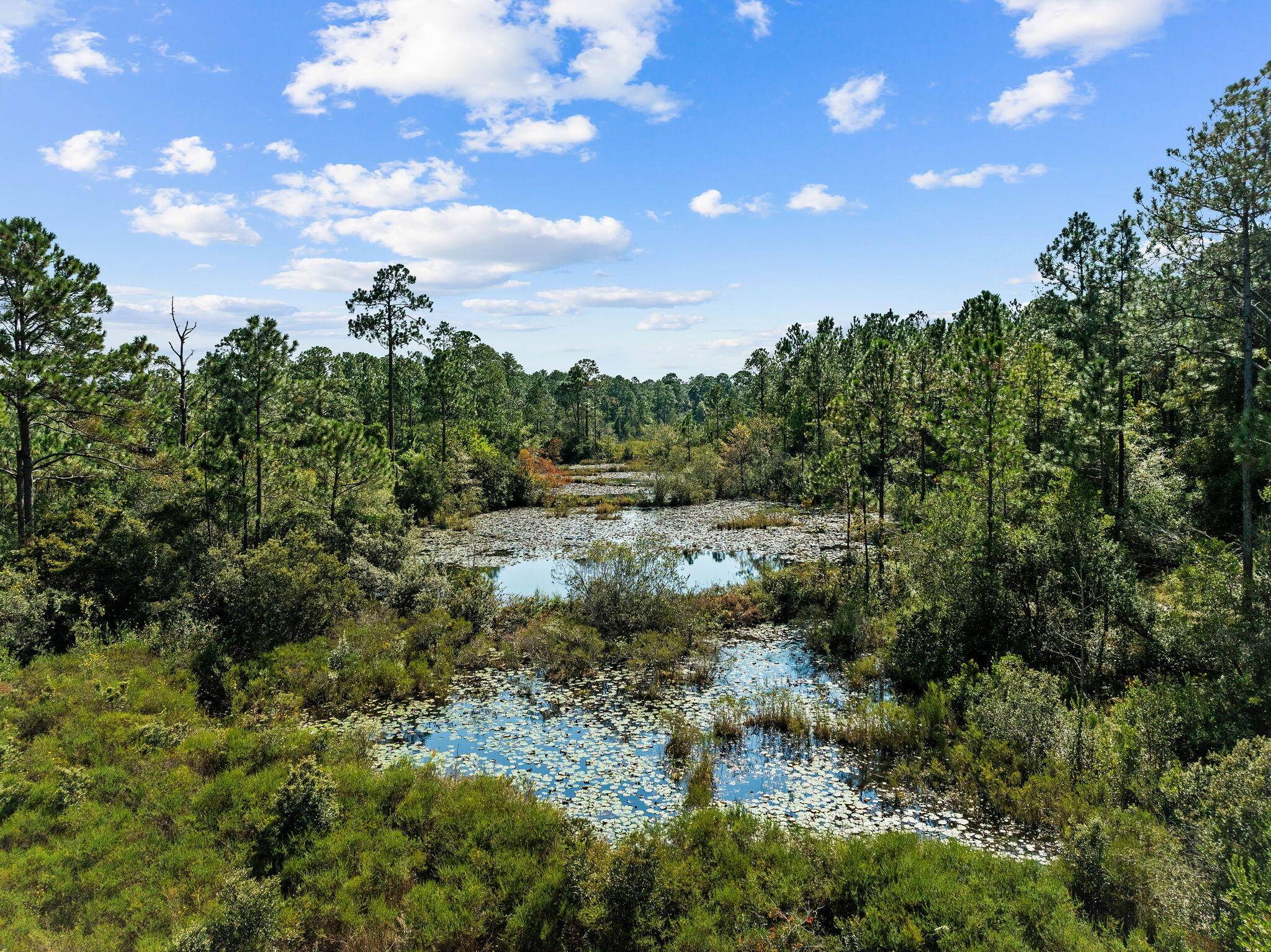 Defuniak Springs, FL 32433,1246 N US Hwy 331