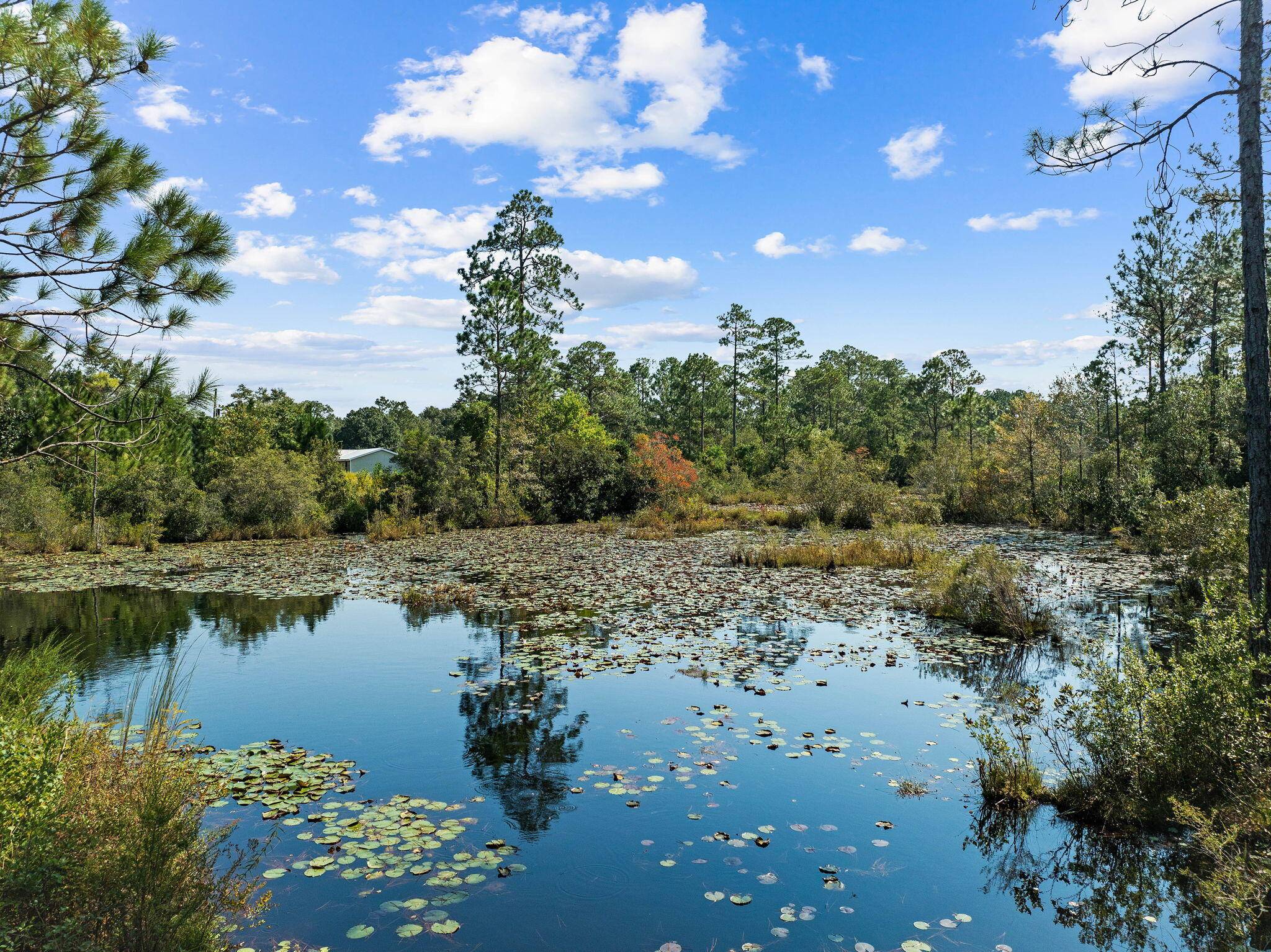 Defuniak Springs, FL 32433,1246 N US Hwy 331