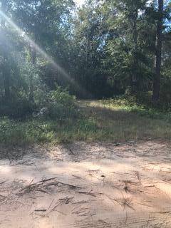 Santa Rosa Beach, FL 32459,000 S Eden Park Drive