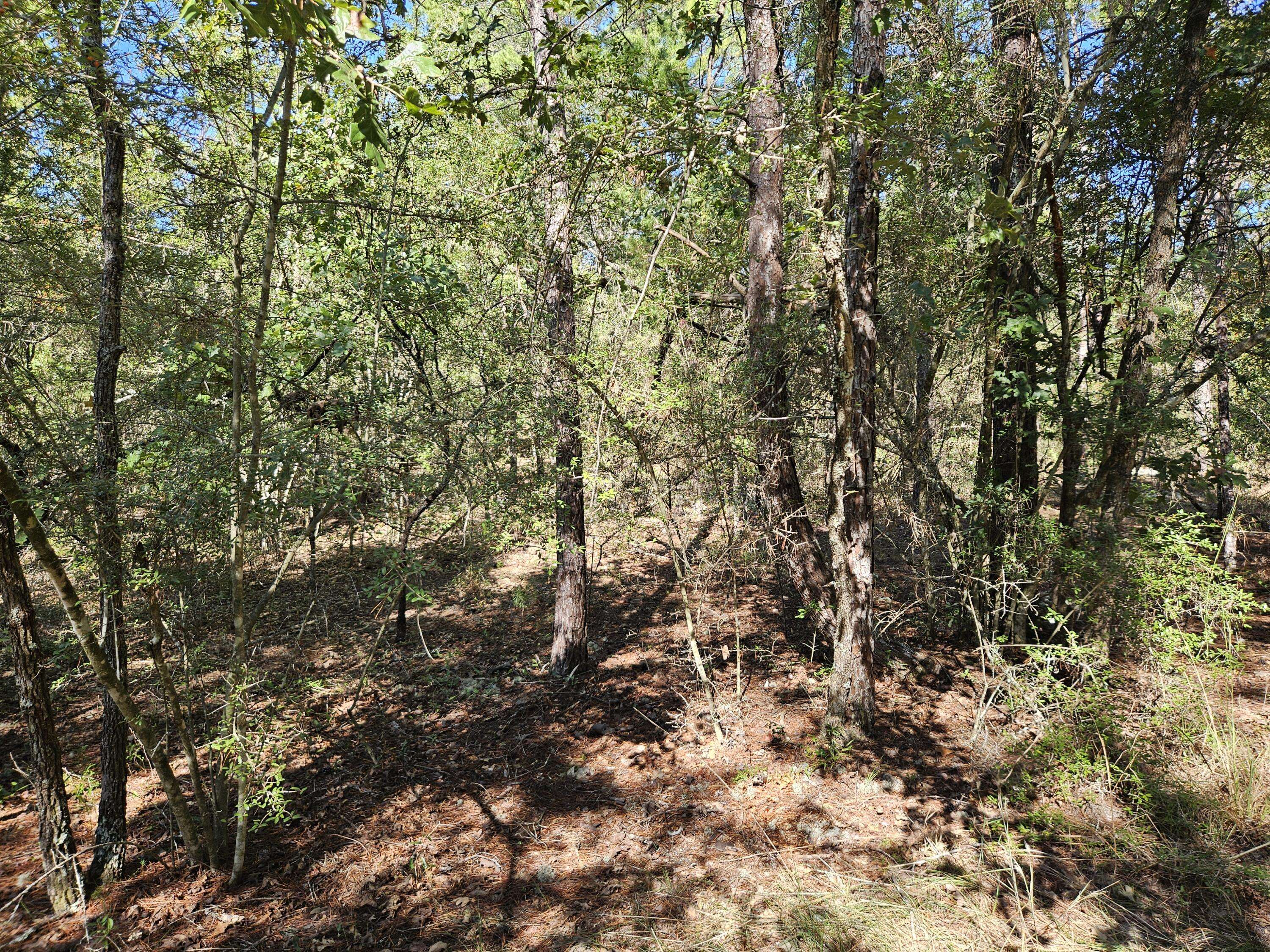 Defuniak Springs, FL 32433,.69 Acre E Dogwood East Avenue