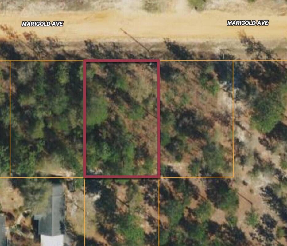 Defuniak Springs, FL 32433,lot 13 Marigold Avenue