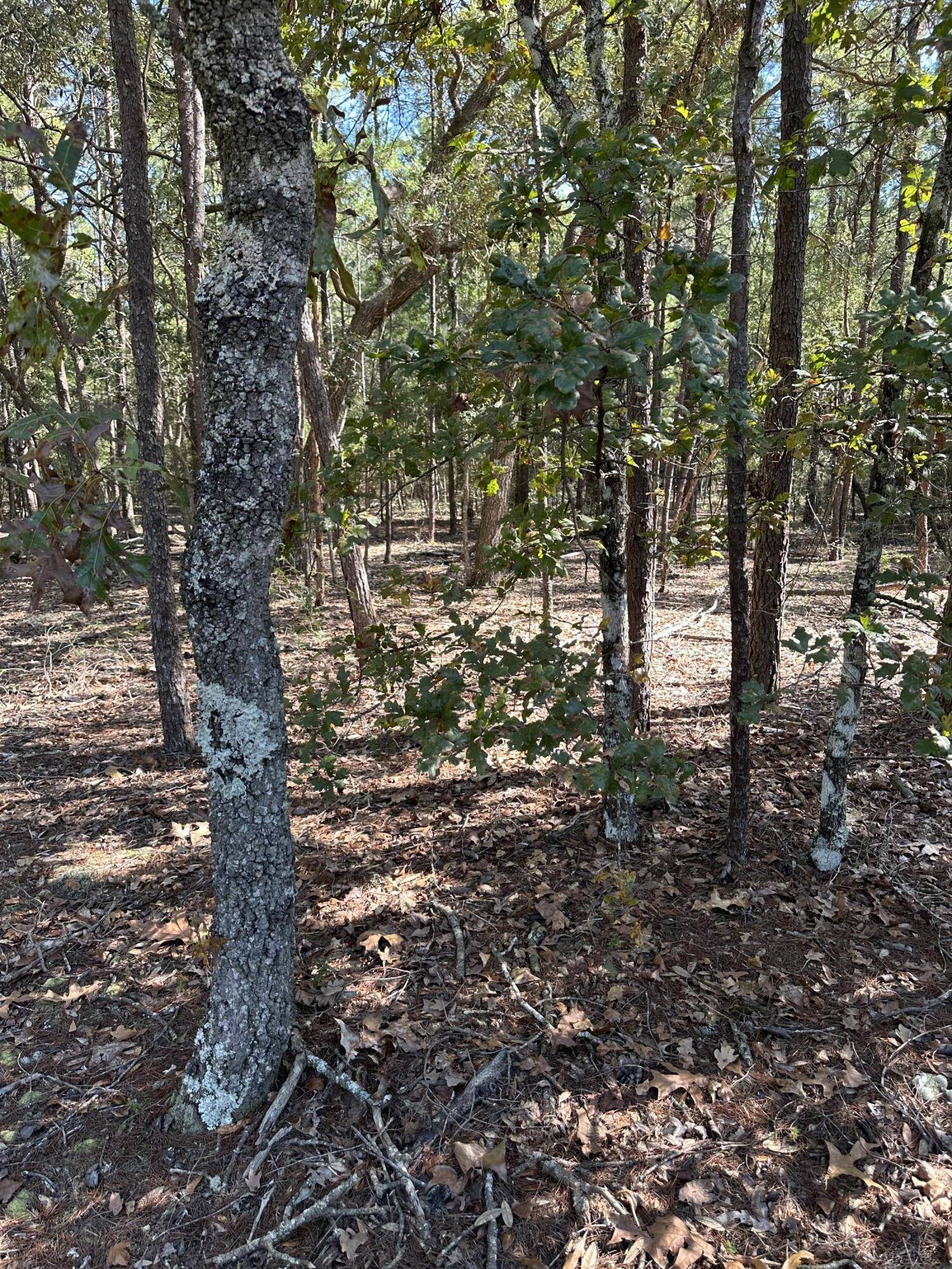 Defuniak Springs, FL 32433,134 Post Oak Road