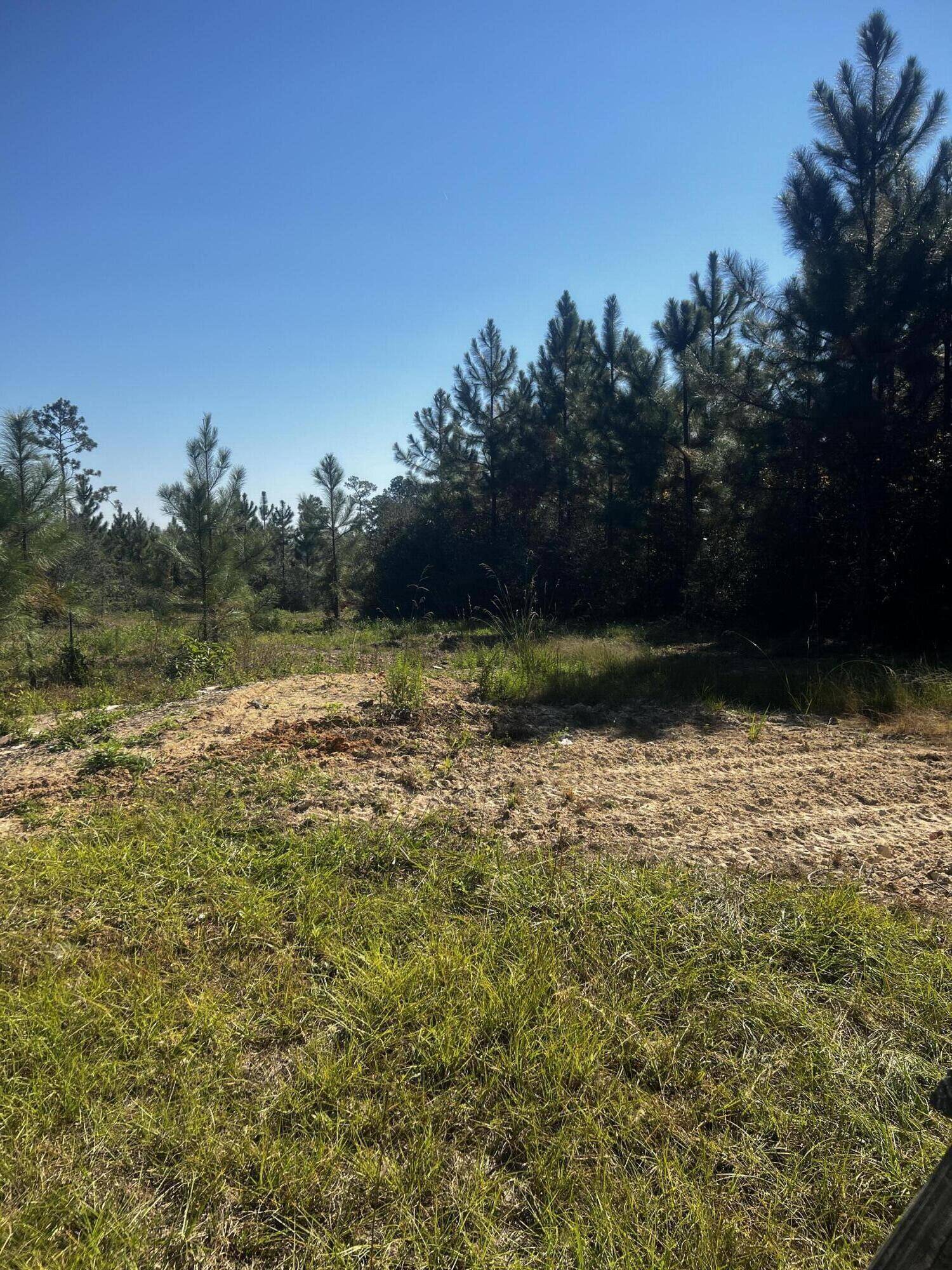 Laurel Hill, FL 32567,805 S Plantars Drive