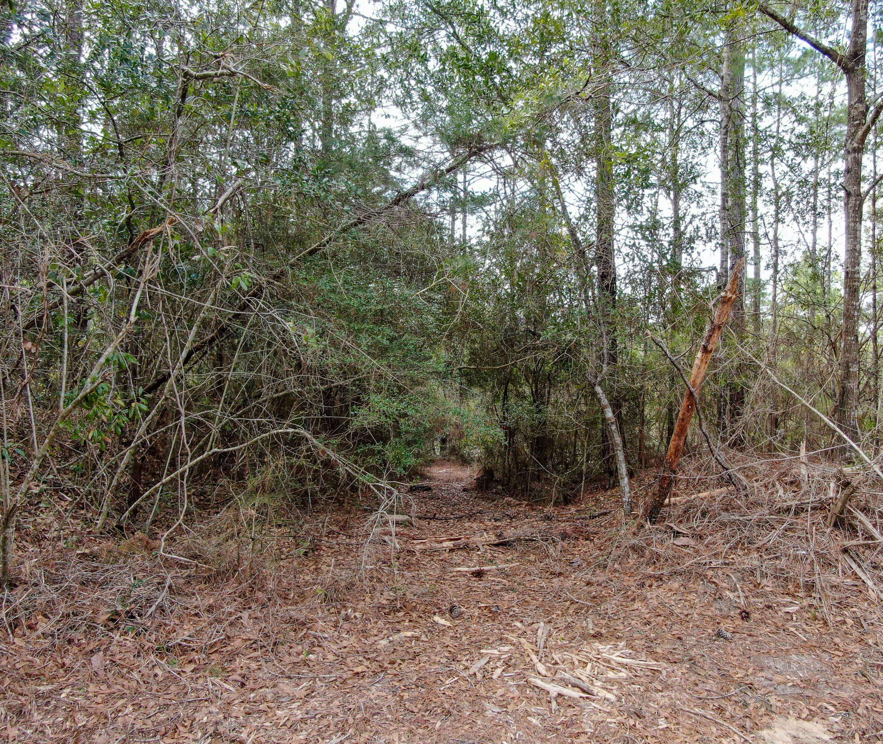 Defuniak Springs, FL 32433,10 Ac Old Airport Road