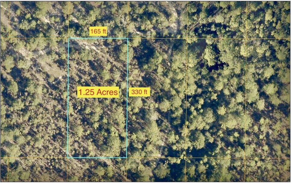 Defuniak Springs, FL 32433,1.25 Acres Kaycee Jean Rd