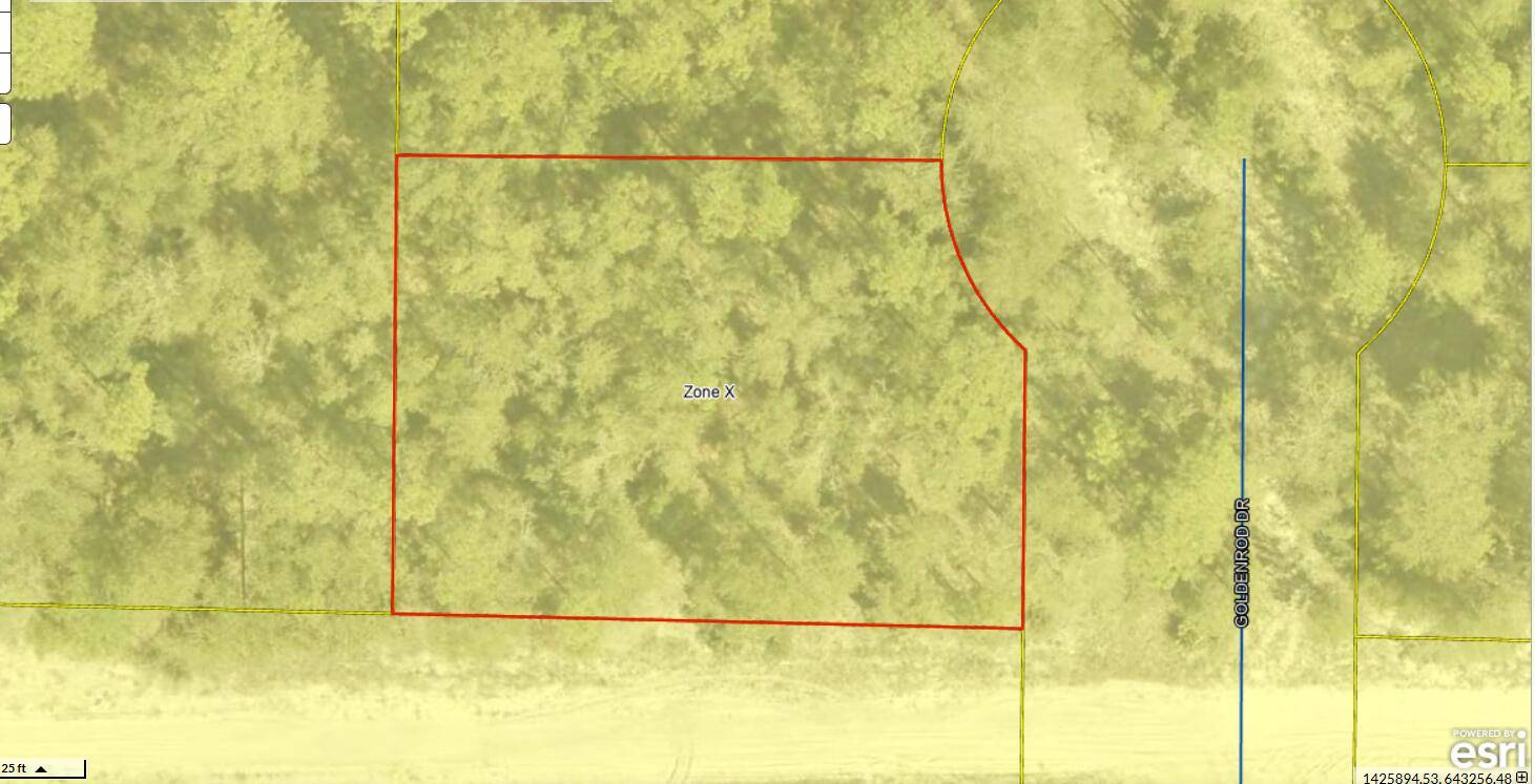 Defuniak Springs, FL 32433,Lot 1 Blk 10 Golden Rod Drive