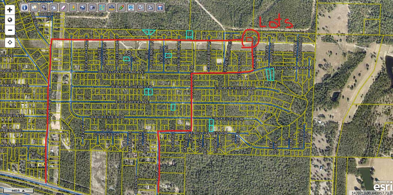 Defuniak Springs, FL 32433,Lot 1 Blk 10 Golden Rod Drive