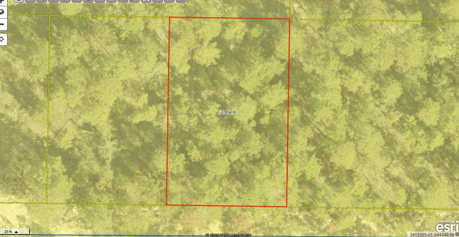 Defuniak Springs, FL 32433,Lot 2 Blk 101 E. Bluebottle Court