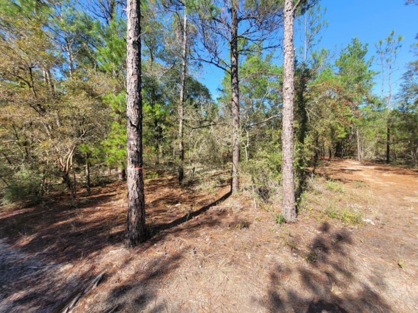 Defuniak Springs, FL 32433,Lot 2 Blk 5 Red Mulberry Lane