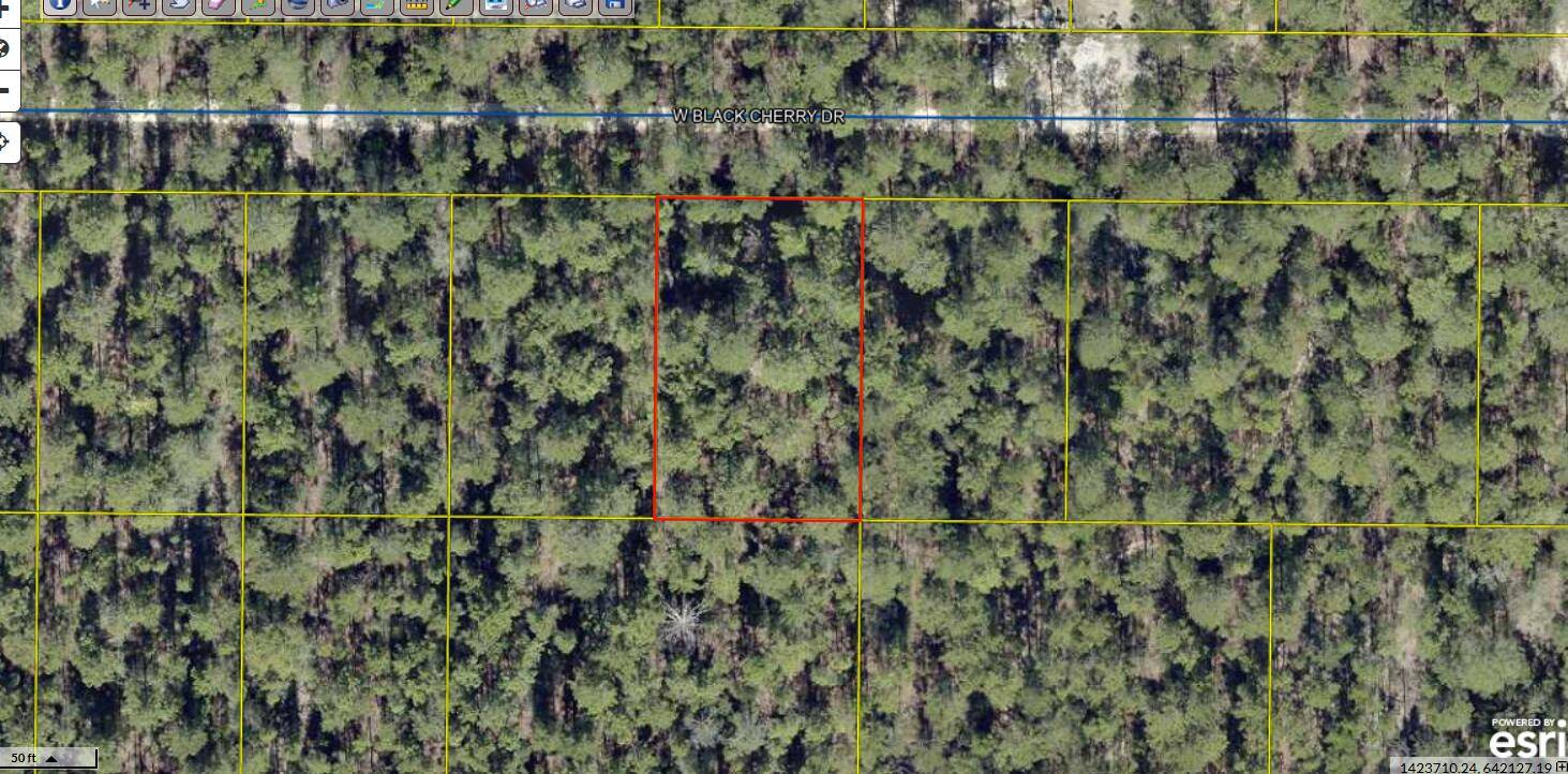 Defuniak Springs, FL 32433,Lot 20 Blk 33 W. Black Cherry Drive