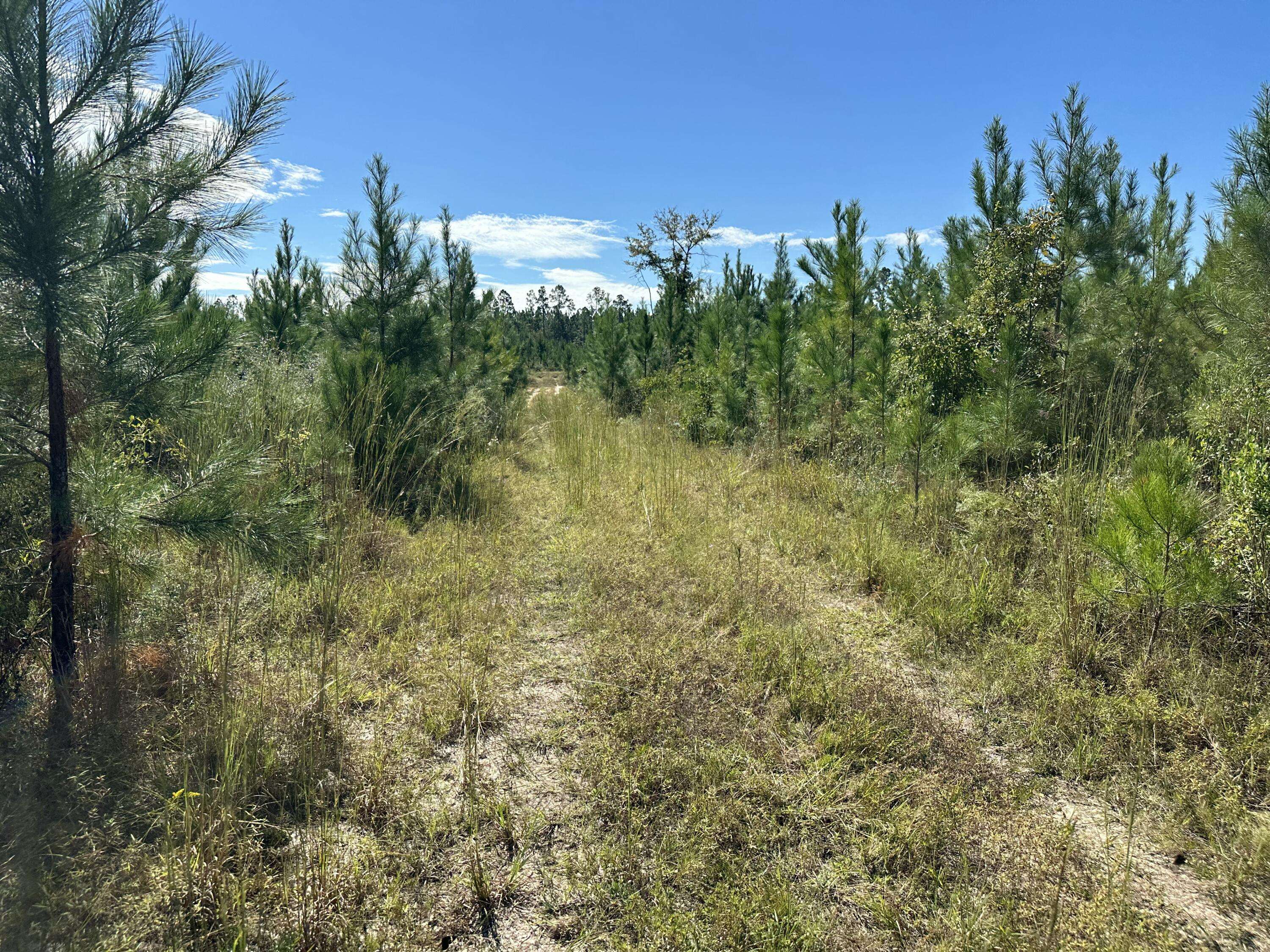 Laurel Hill, FL 32567,Parcel A Millside Road  #<><