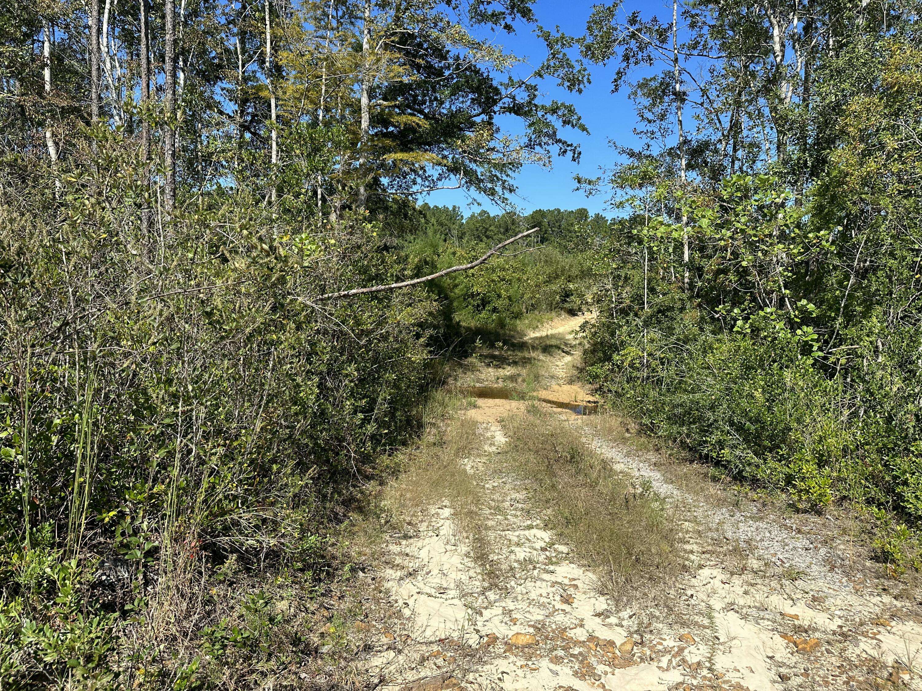 Laurel Hill, FL 32567,Parcel A Millside Road  #<><