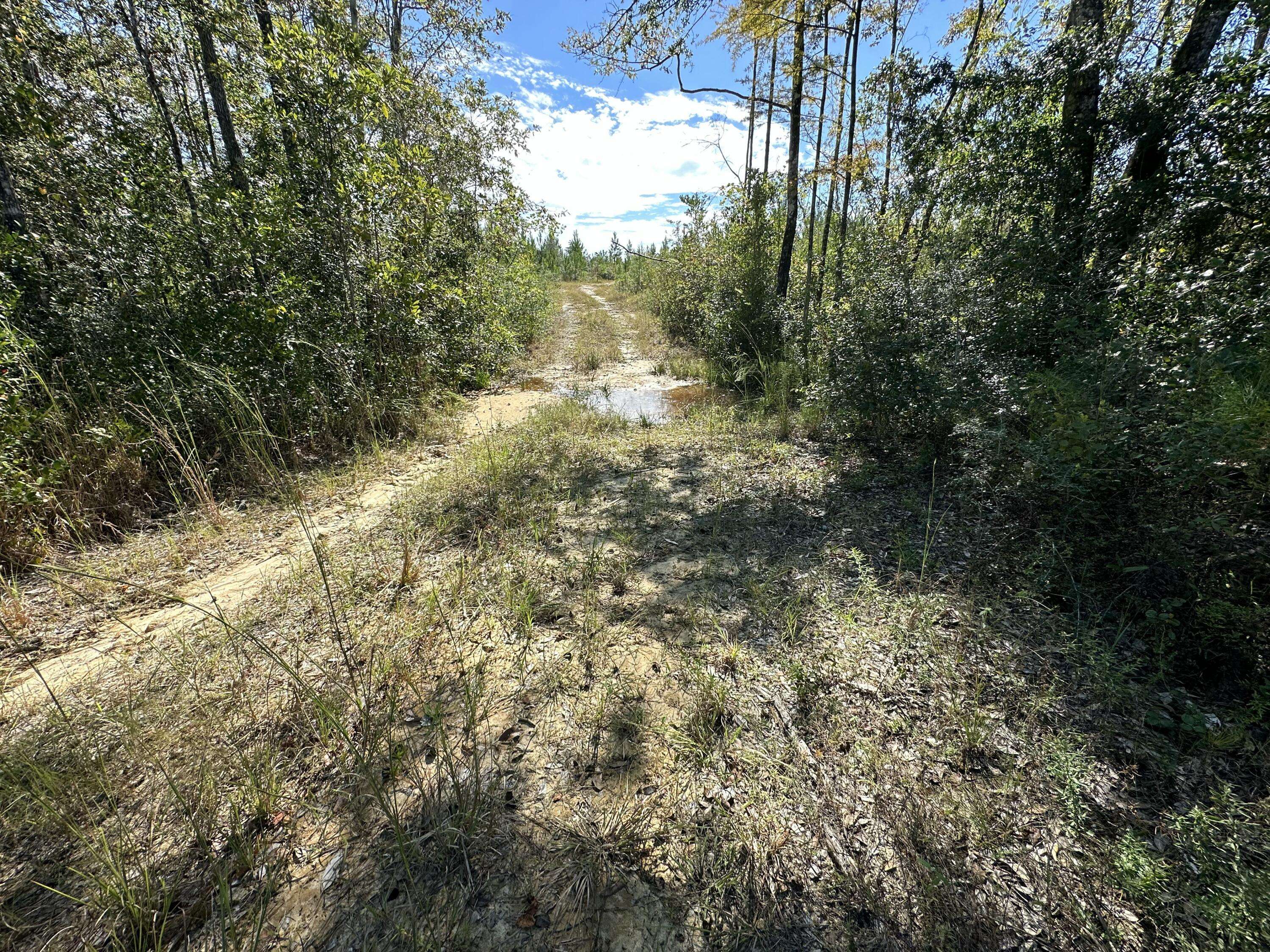 Laurel Hill, FL 32567,A and B Millside Road Parcel A & B  #<><