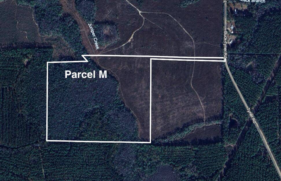 Laurel Hill, FL 32567,Parcel M Buck Tyner Road  #<><