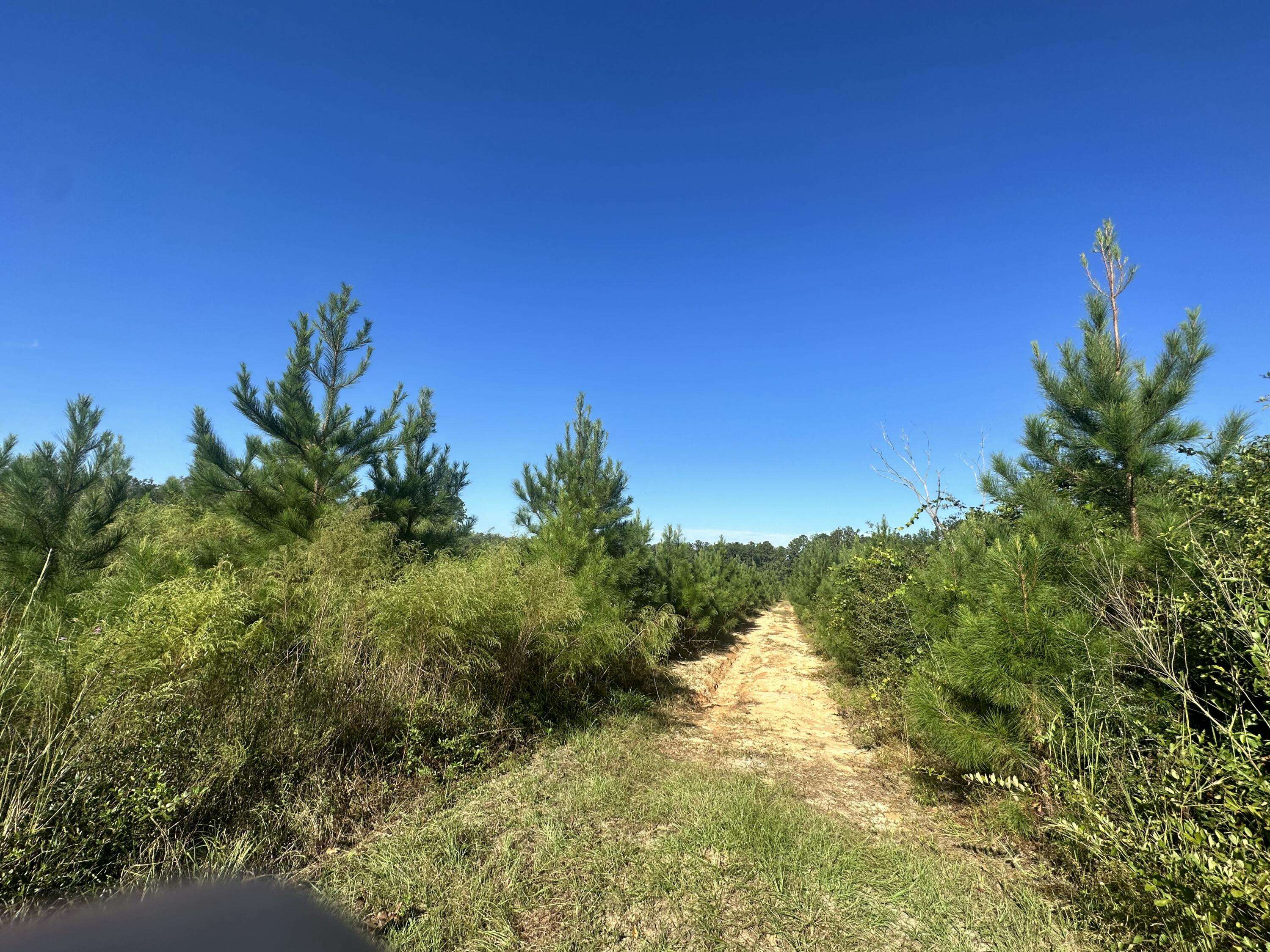 Laurel Hill, FL 32567,Parcel I Millside Road Road