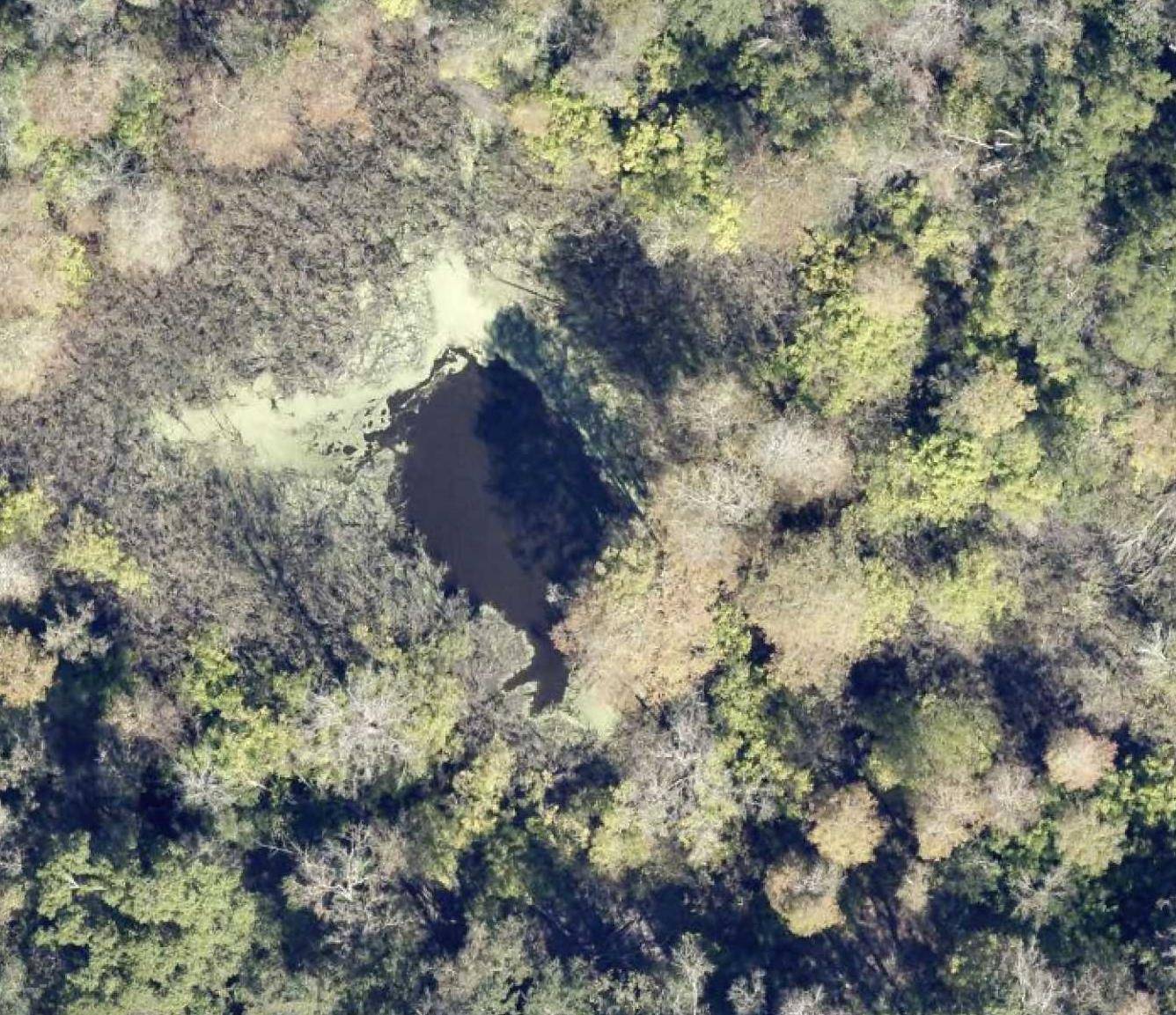 Ponce De Leon, FL 32455,935 River Road