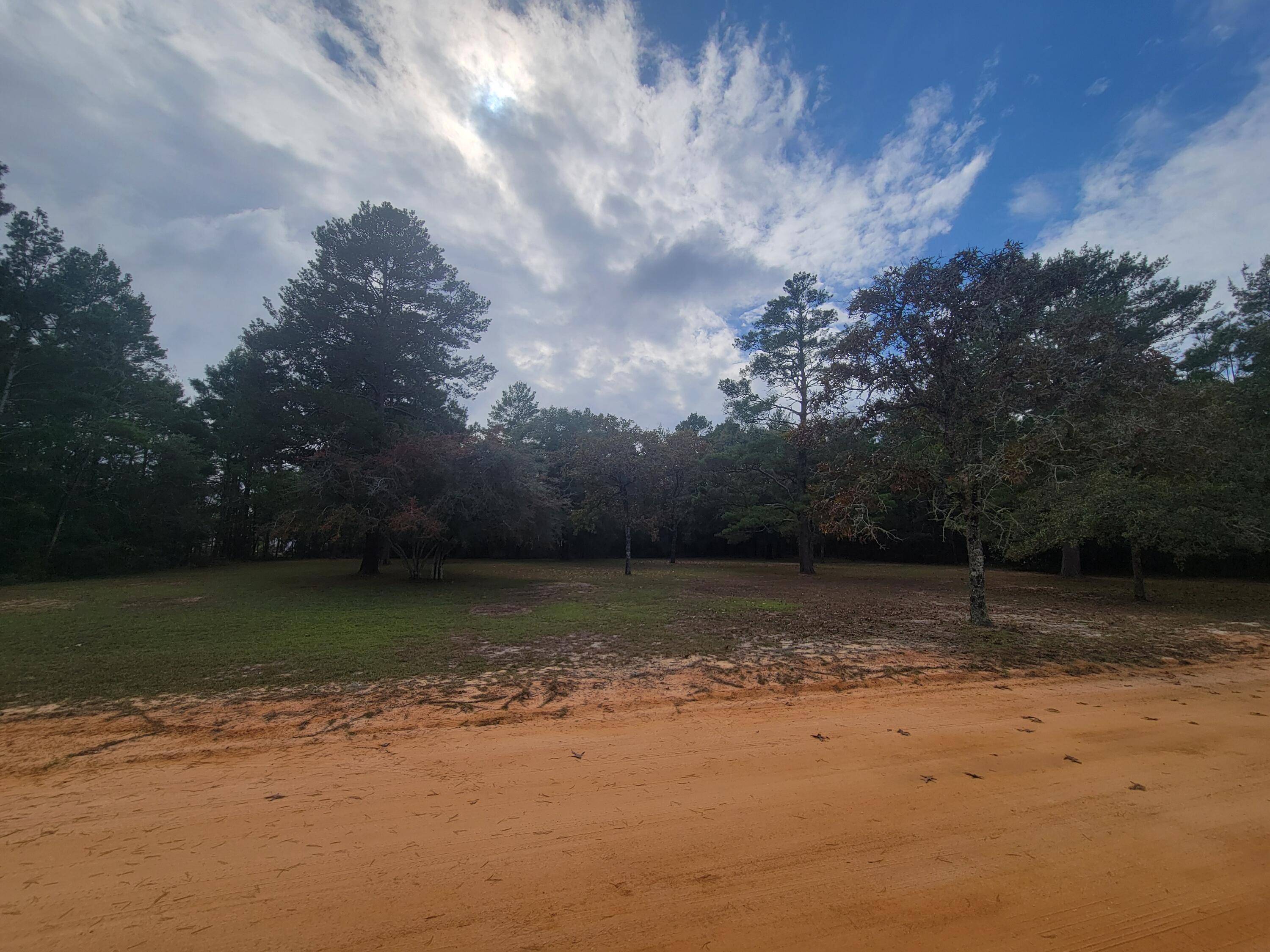 Defuniak Springs, FL 32433,Lots16 &17 W May Lilly Court