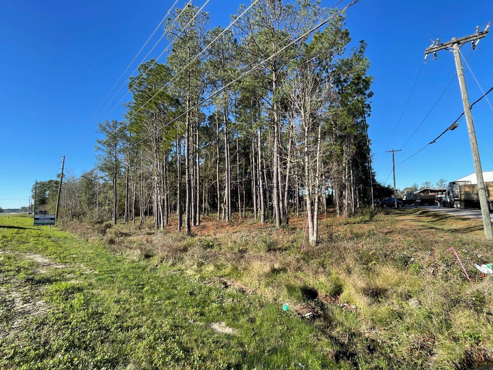 Freeport, FL 32439,1.1 Acres US Highway 331 South
