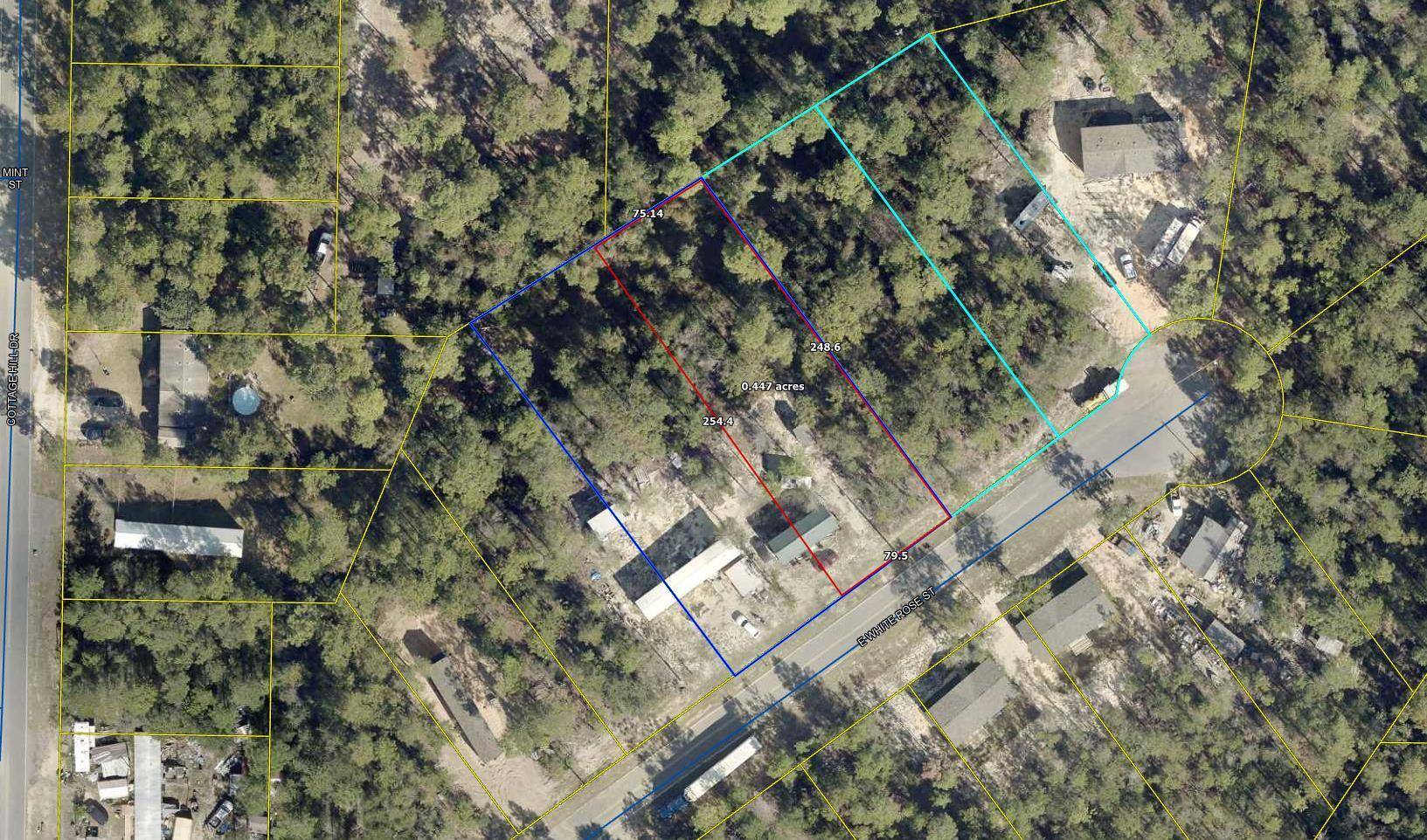 Defuniak Springs, FL 32433,225 E White Rose Street