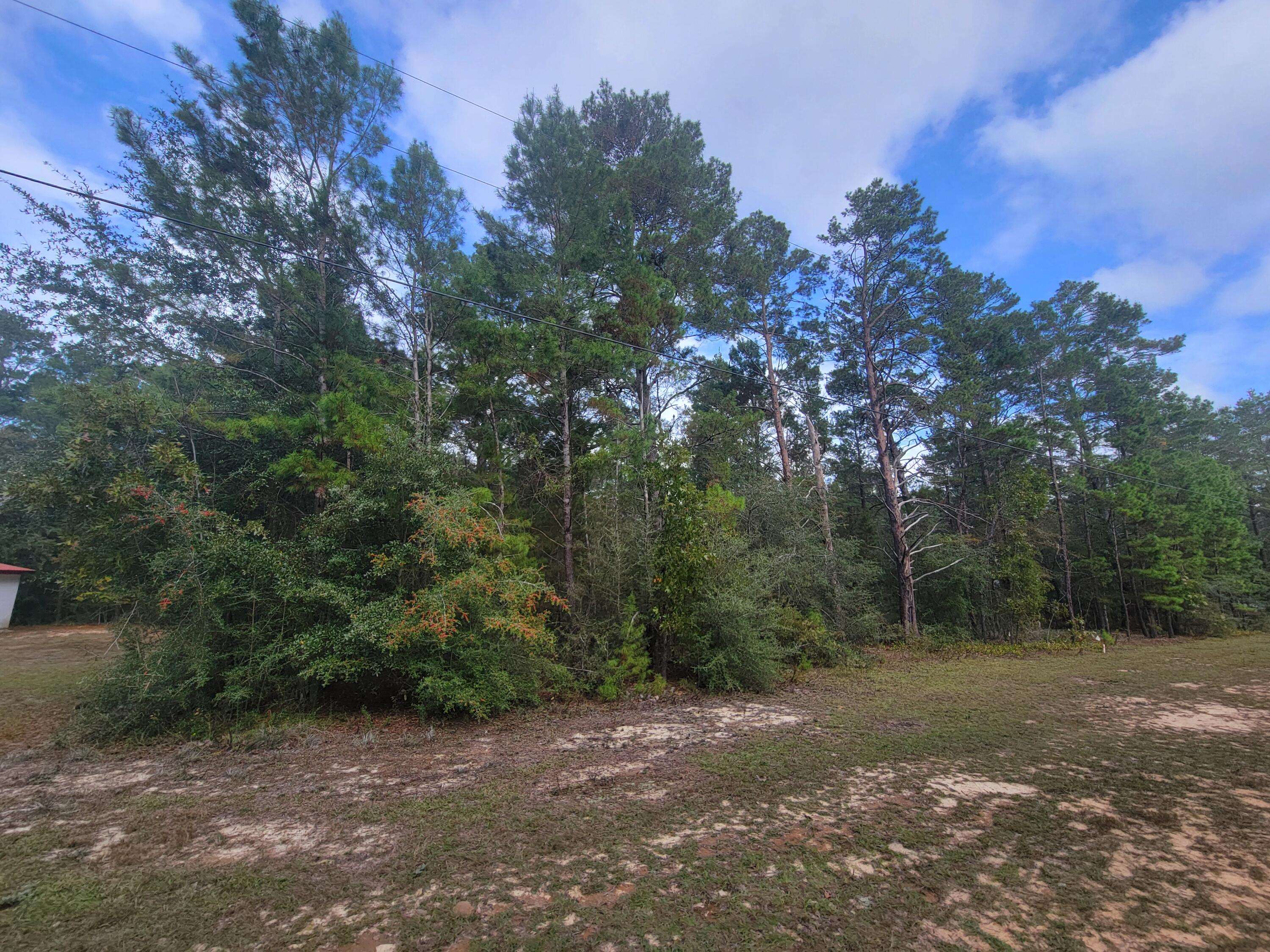 Defuniak Springs, FL 32433,Lot 6 & 14 W May Lilly Court