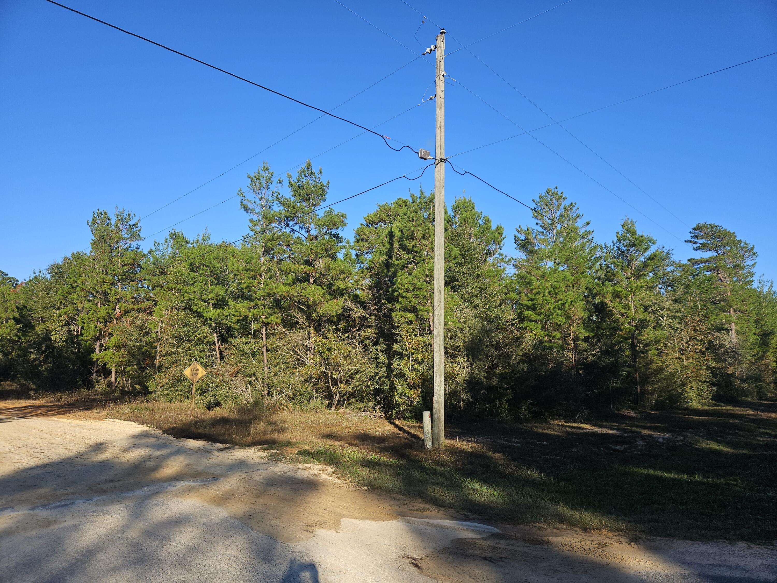 Defuniak Springs, FL 32433,Lots 1 & 2 May Lilly Court