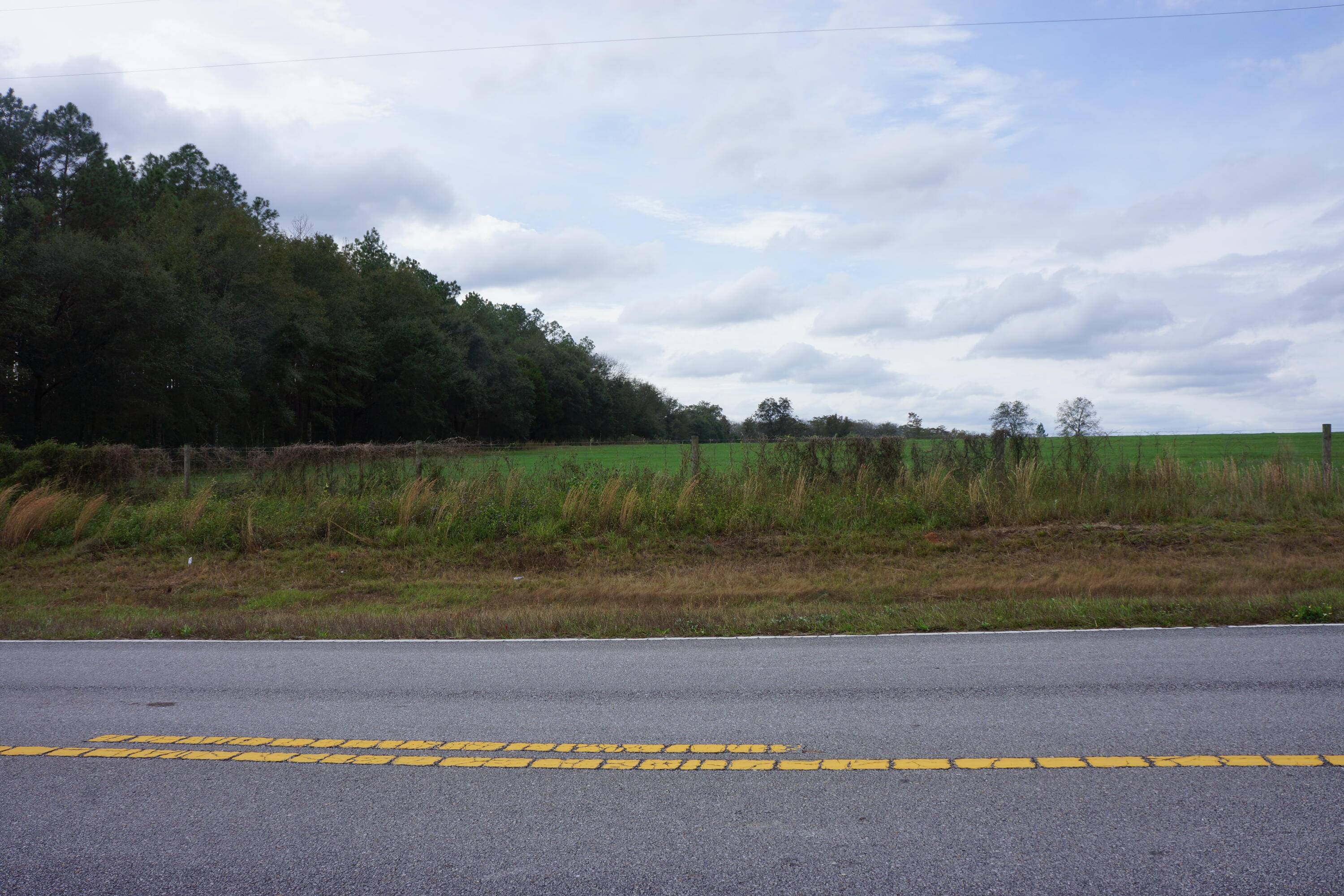 Laurel Hill, FL 32567,TBD Hwy 393