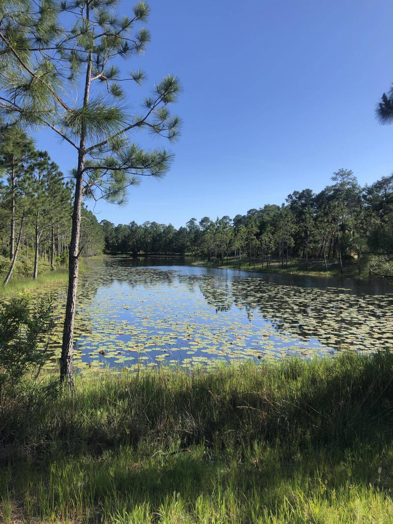 Panama City Beach, FL 32413,1521 Dune Lake Trail