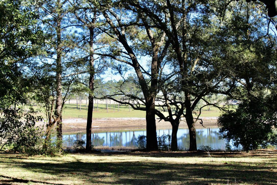 Defuniak Springs, FL 32433,103 Pretty Pond Lane