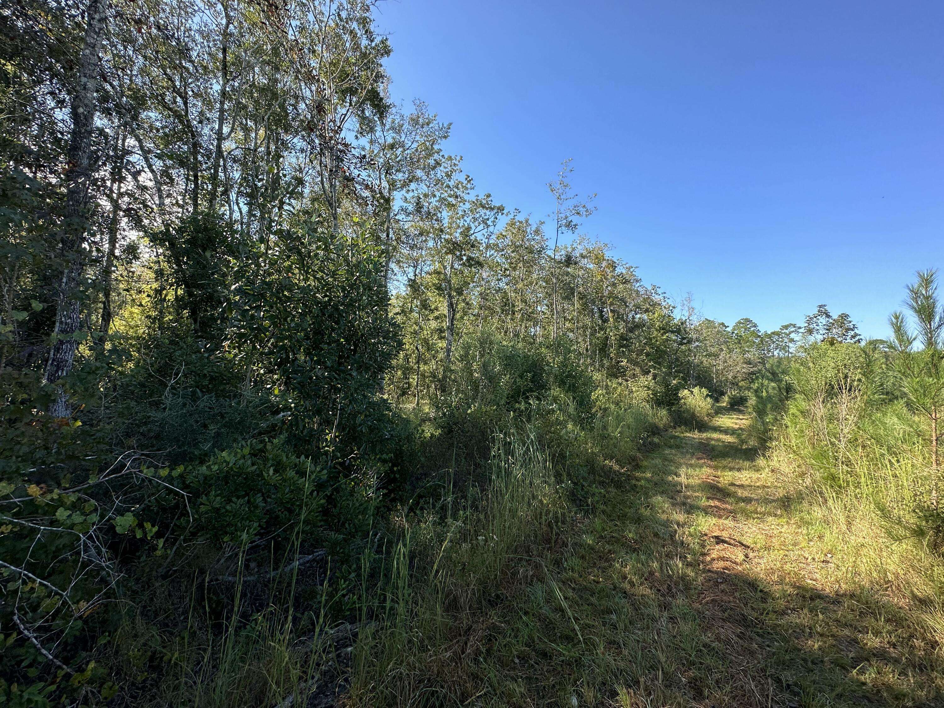 Laurel Hill, FL 32567,Parcel L Buck Tyner Road