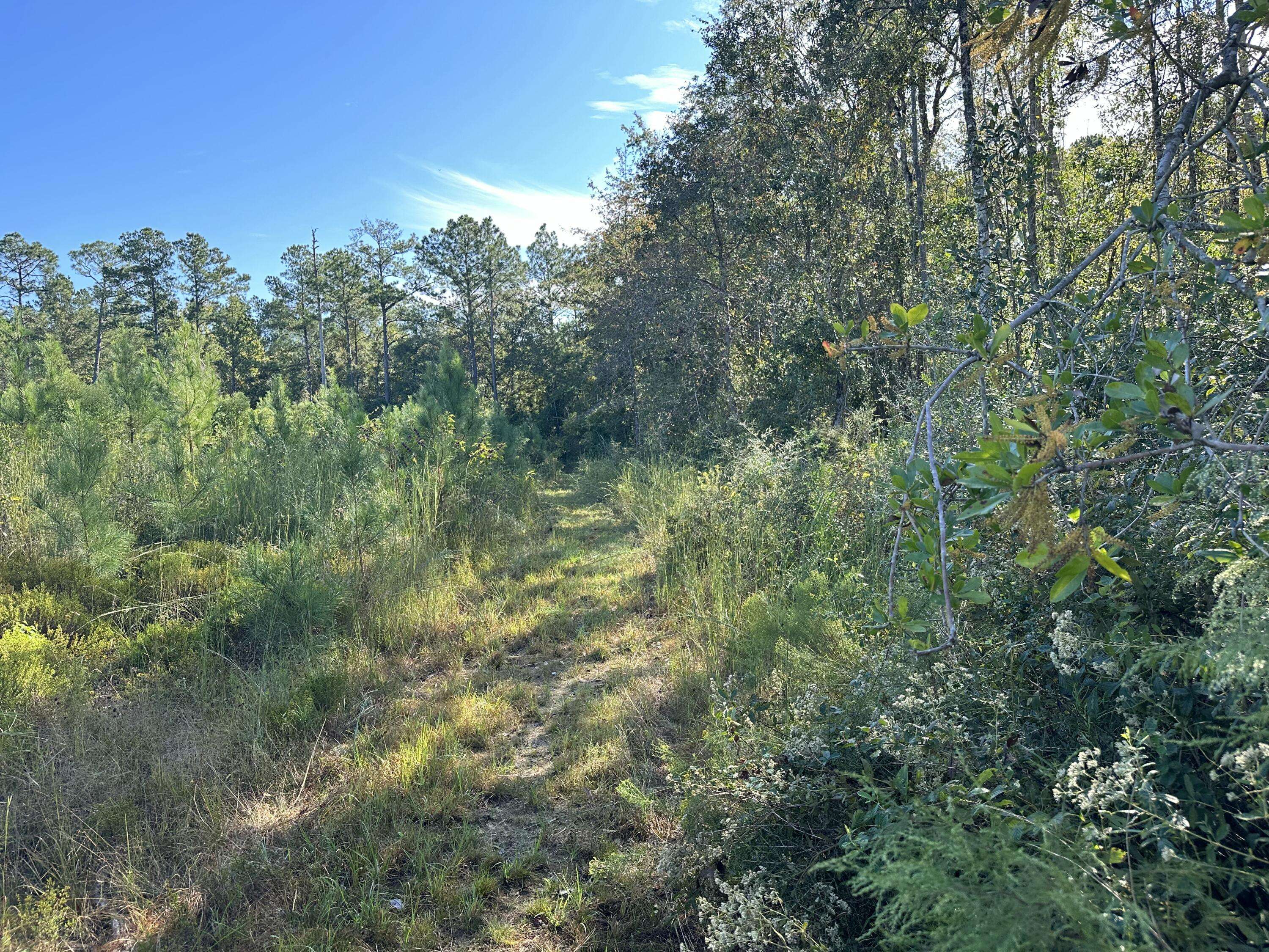 Laurel Hill, FL 32567,Parcel L Buck Tyner Road