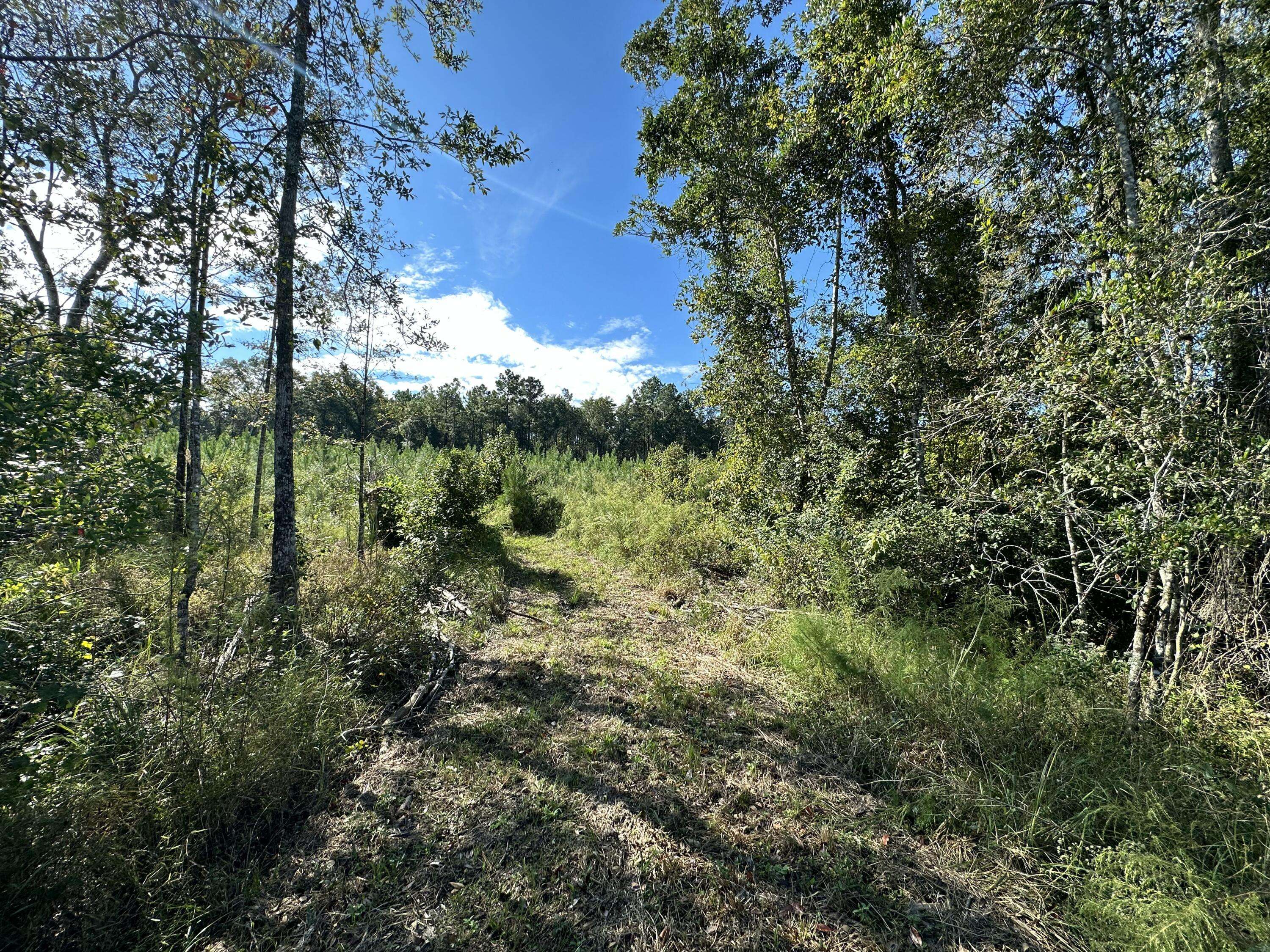 Laurel Hill, FL 32567,Parcel L Buck Tyner Road