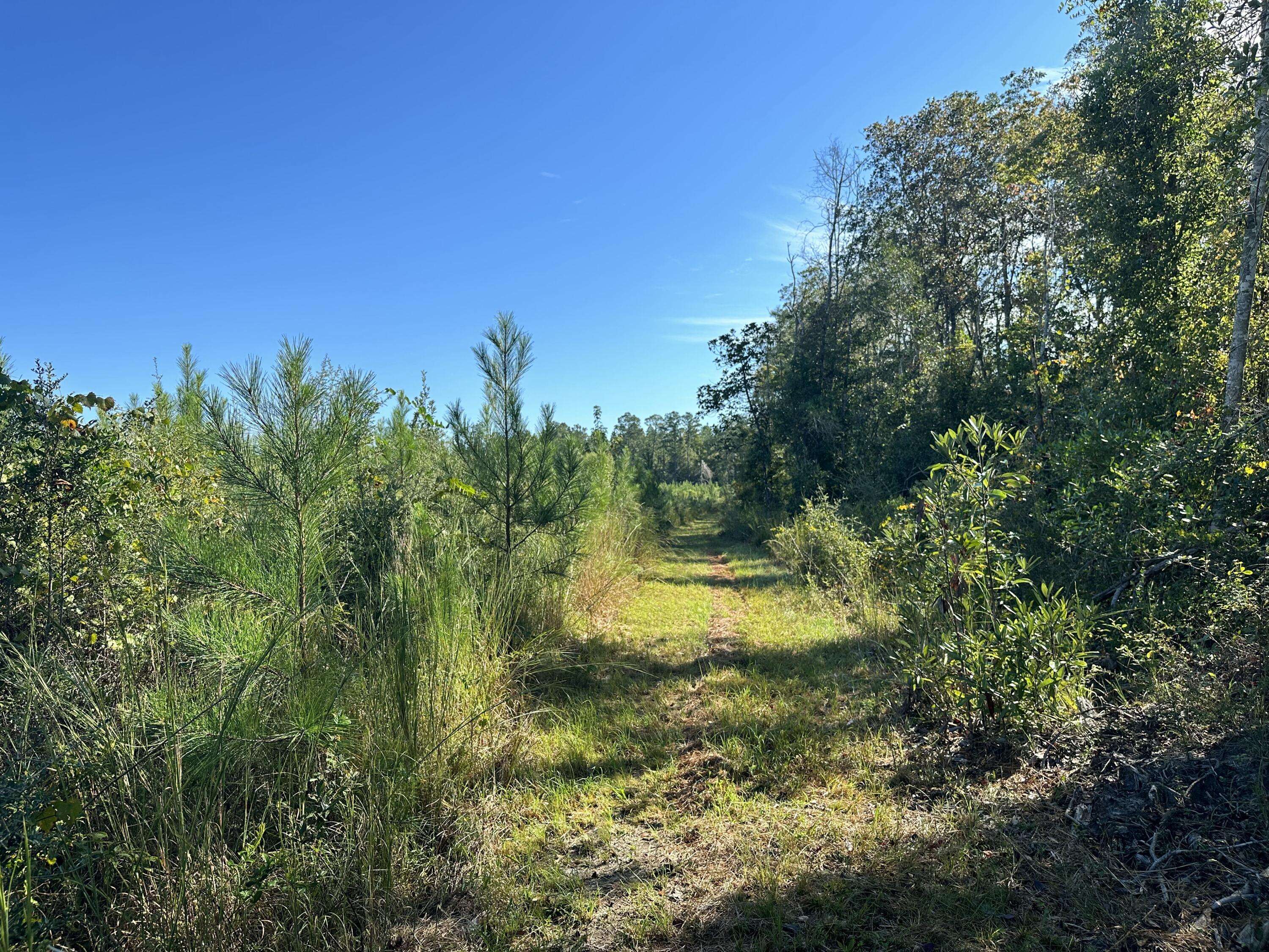 Laurel Hill, FL 32567,Parcel K&L Buck Tyner Road