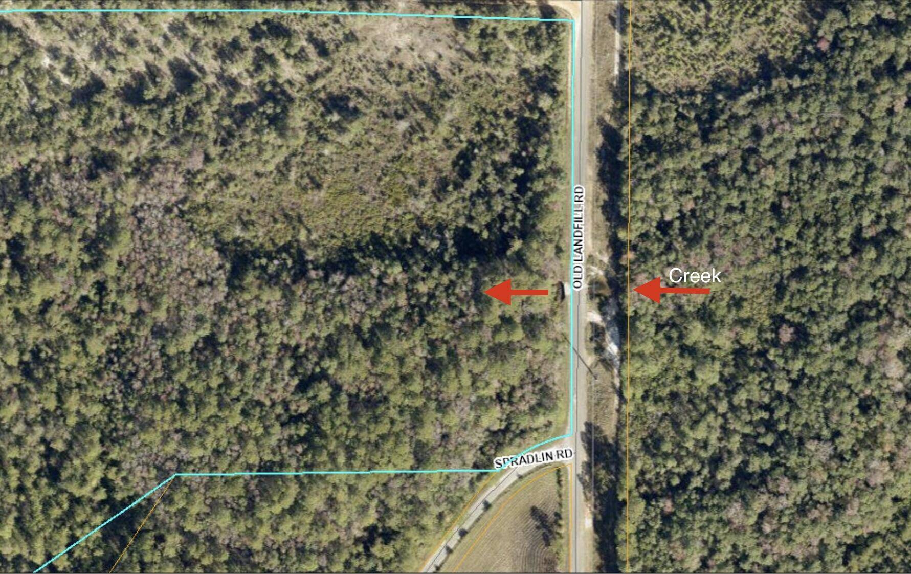 Defuniak Springs, FL 32433,28.7 Acres Spradlin Road