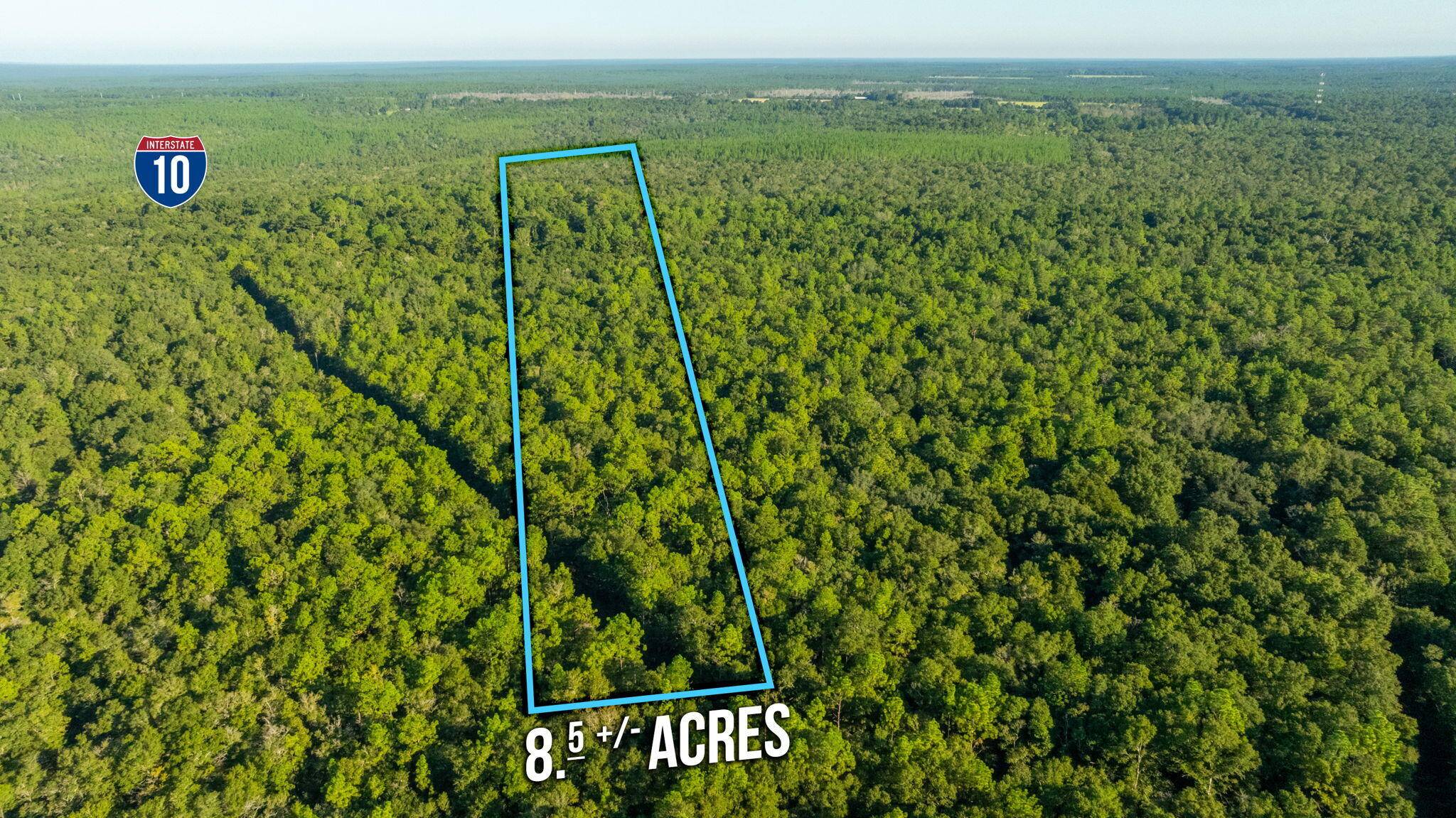 Holt, FL 32564,8.5 Acres Lyons Place