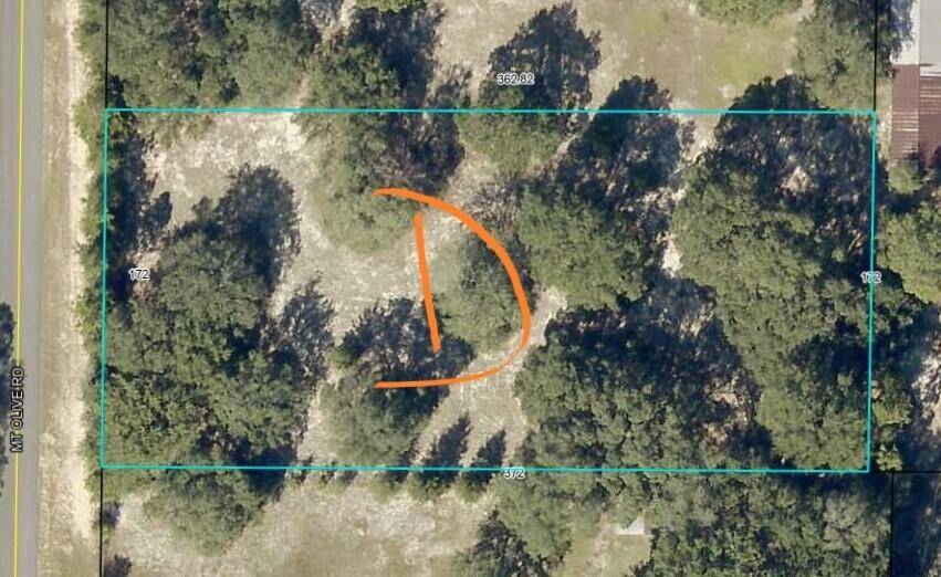 Crestview, FL 32539,0 Mt Olive Road  #Parcel D