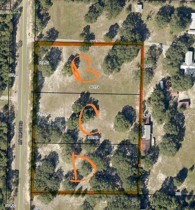 Crestview, FL 32539,0 Mt Olive Road  #Parcel D