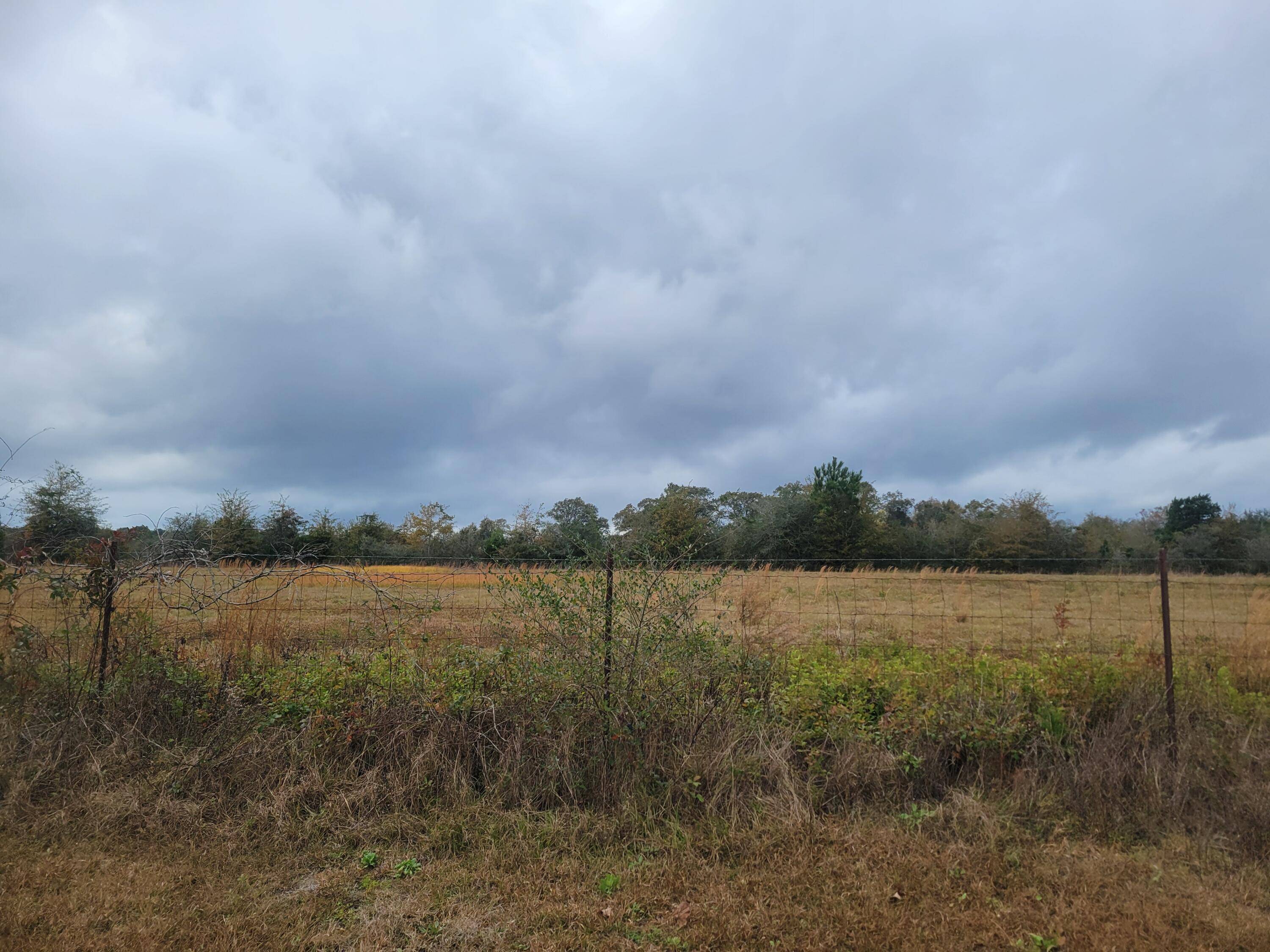 Defuniak Springs, FL 32433,16 acres Williams Road