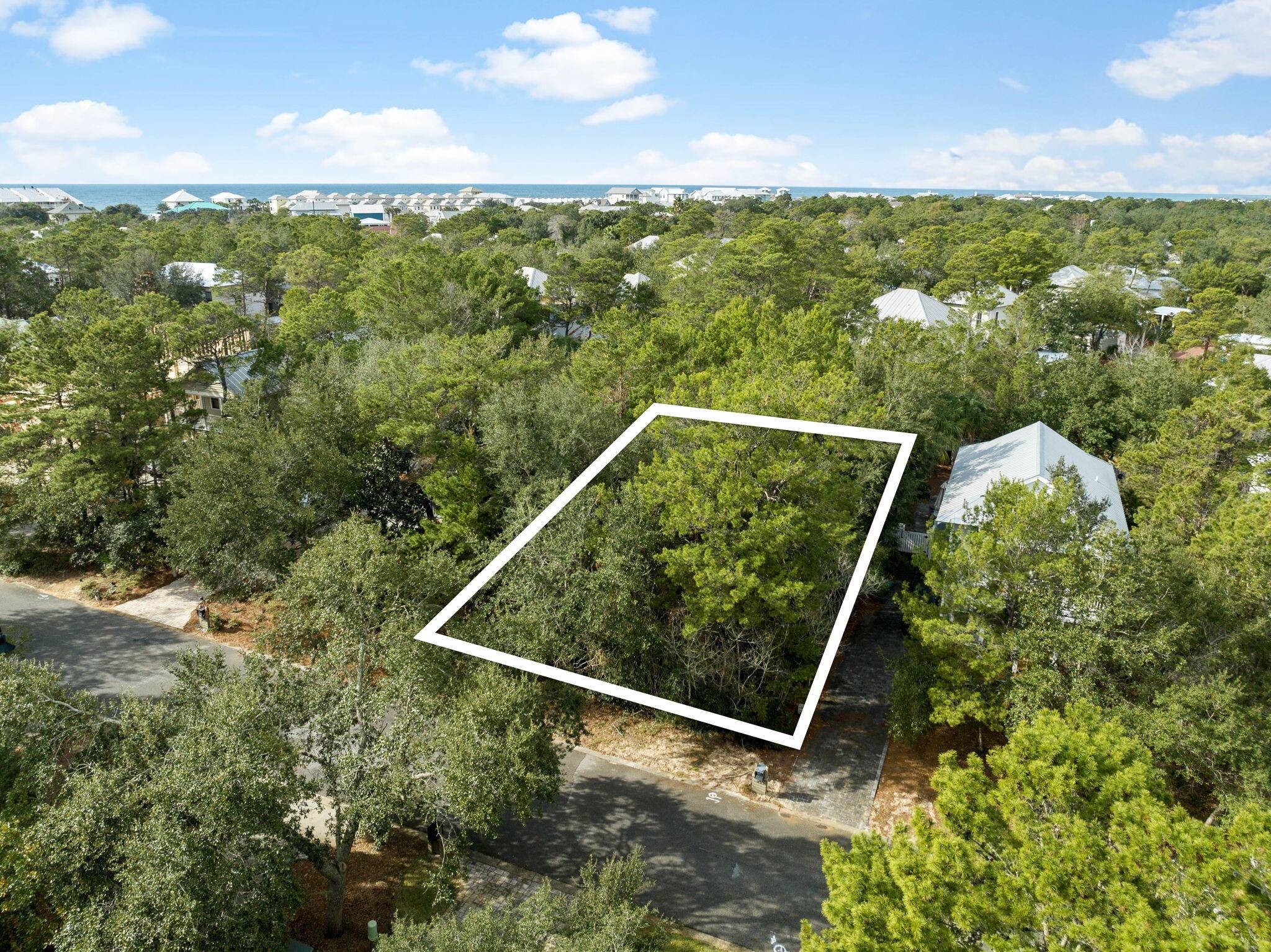 Inlet Beach, FL 32461,255 Clareon Drive