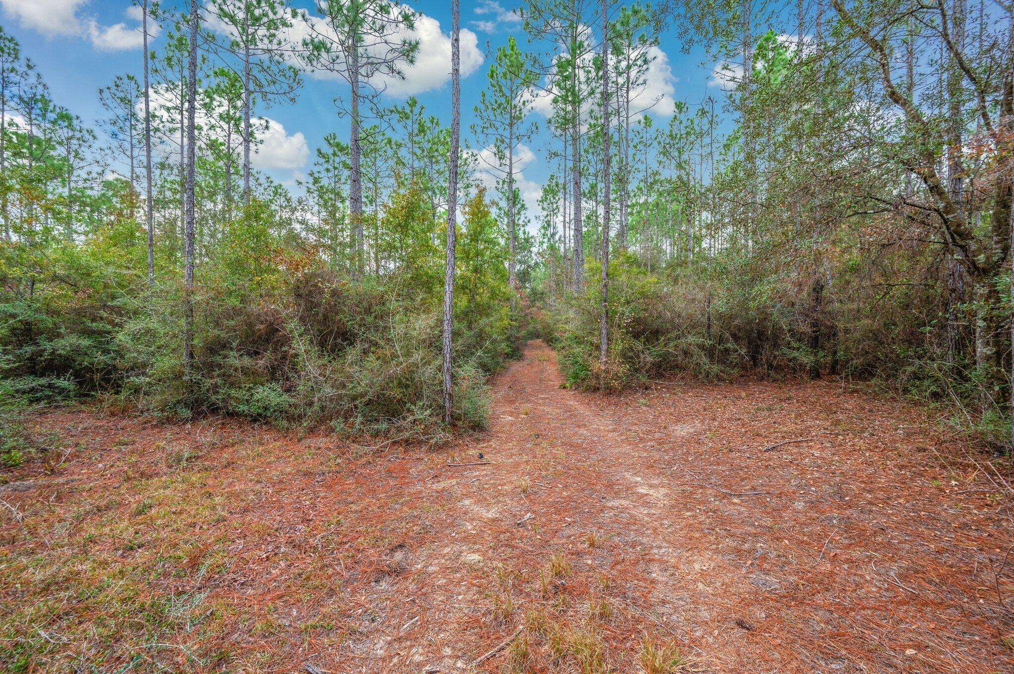 Defuniak Springs, FL 32433,40 Acres Brooklyn Drive