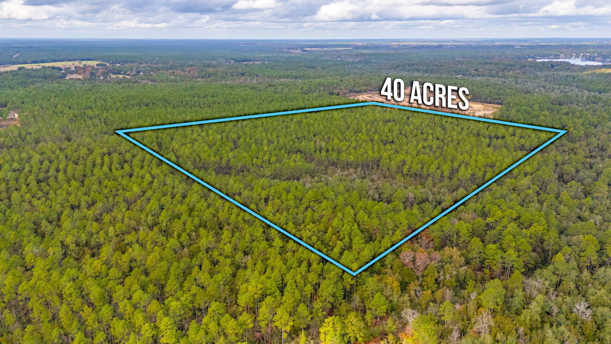 Defuniak Springs, FL 32433,40 Acres Brooklyn Drive